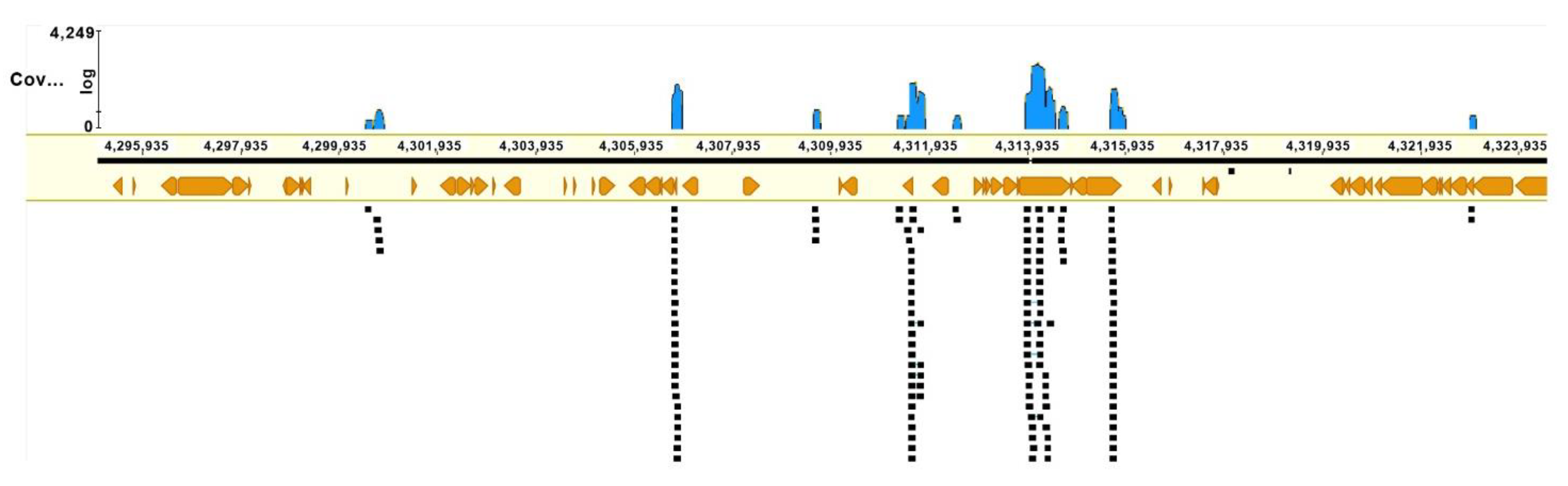 Biomedicines 10 03255 g011 Biomedicines 10 03255 g011