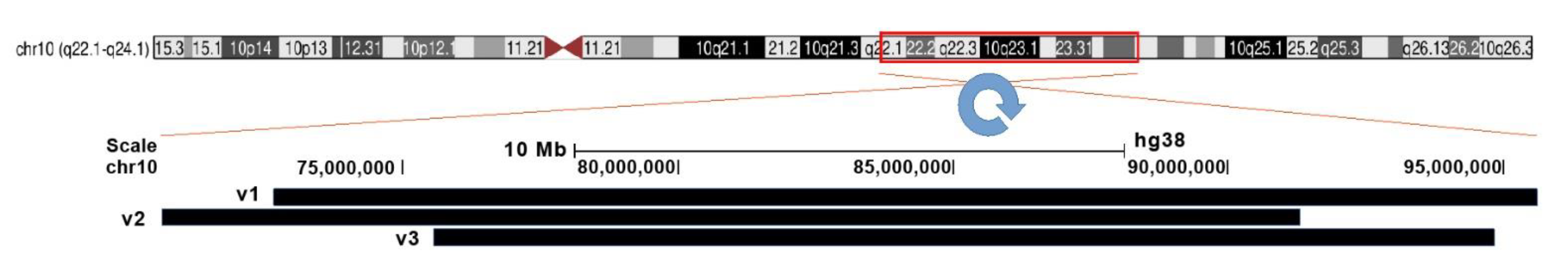 Biomedicines 10 03255 g012 Biomedicines 10 03255 g012