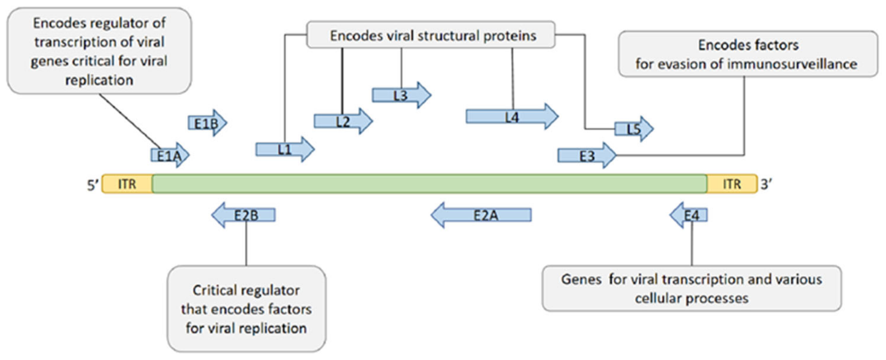 Biomedicines 10 03262 g002
