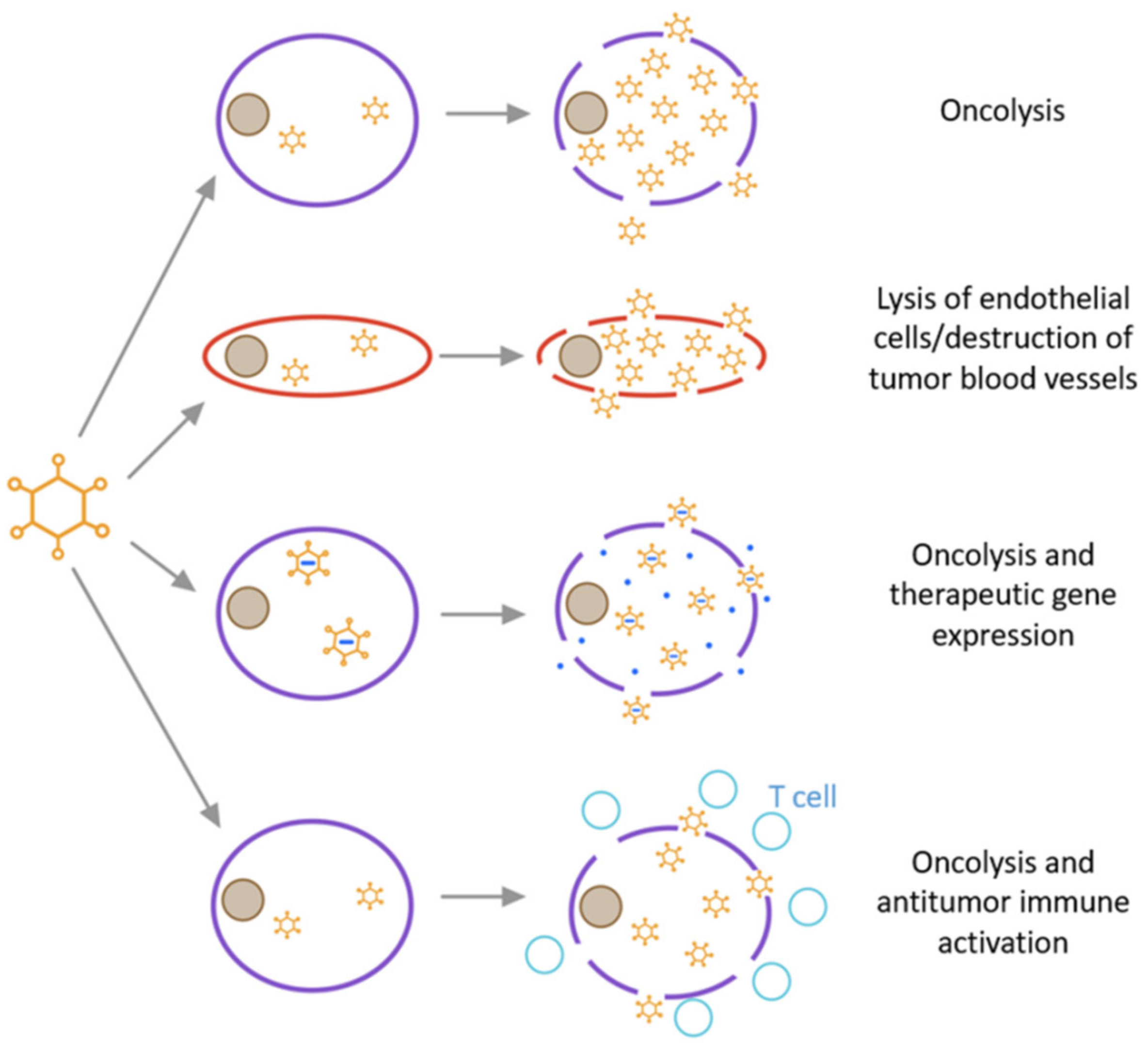 Biomedicines 10 03262 g006