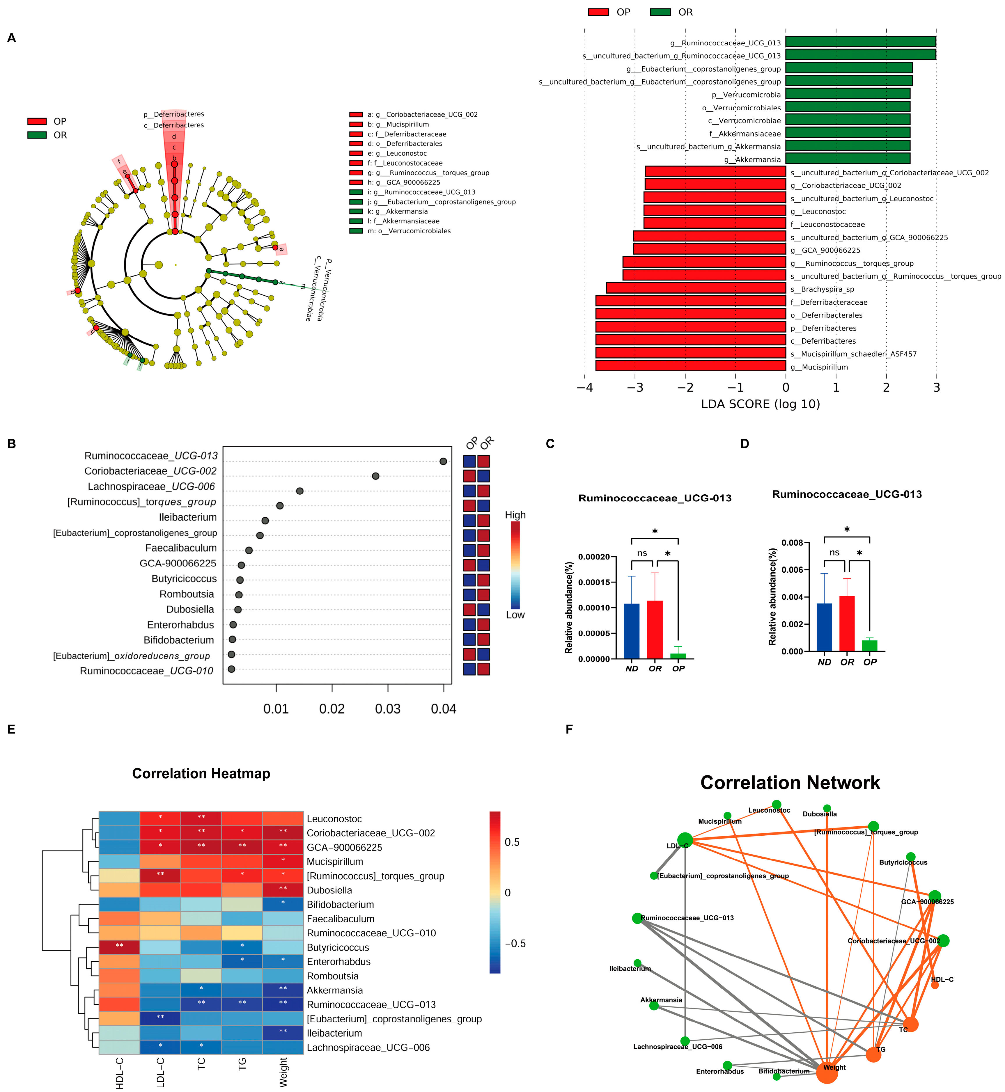 Biomedicines 10 03272 g003 Biomedicines 10 03272 g003