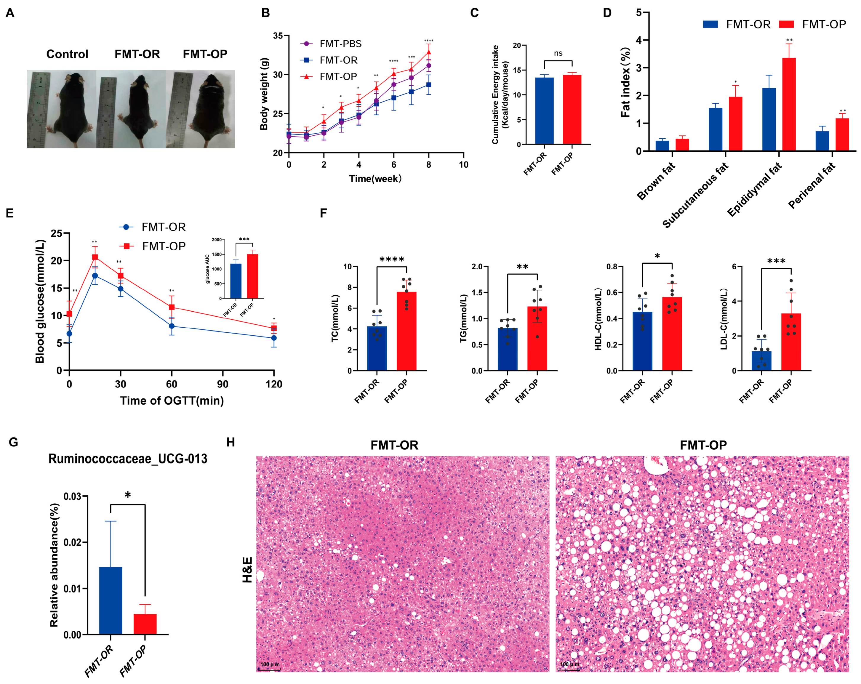 Biomedicines 10 03272 g005 Biomedicines 10 03272 g005
