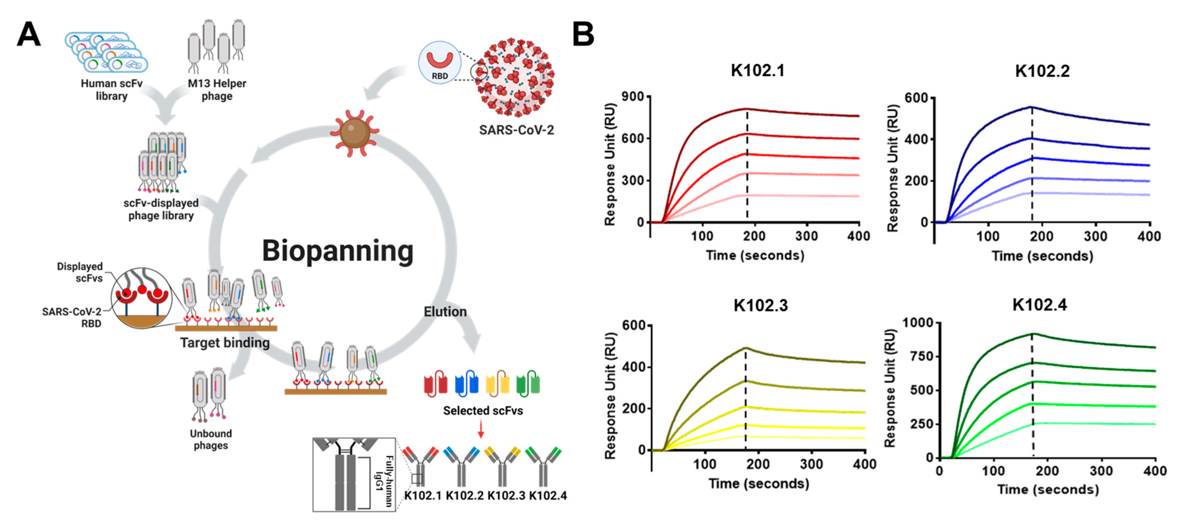 Biomedicines 10 03274 g001 Biomedicines 10 03274 g001