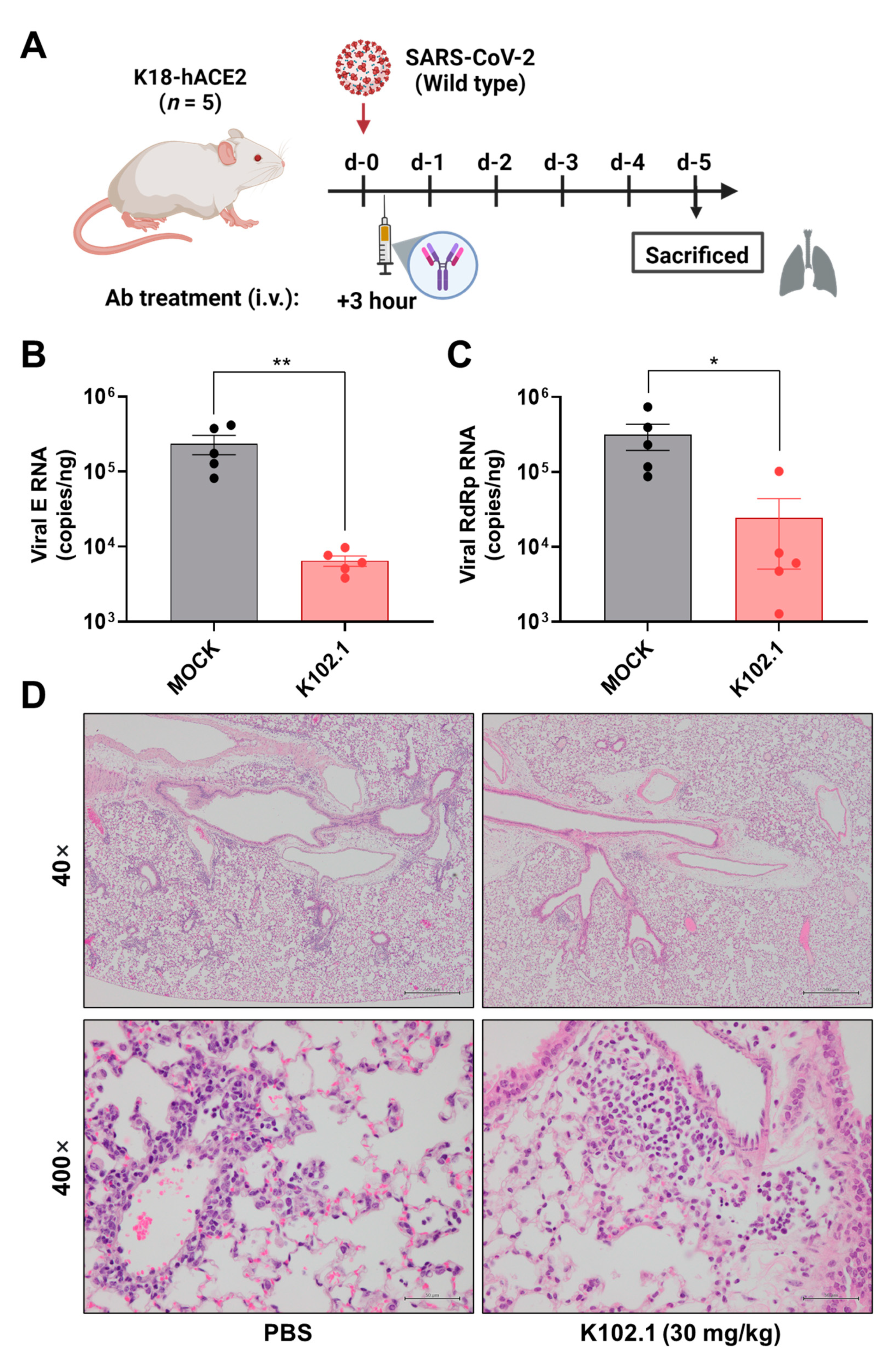 Biomedicines 10 03274 g005 Biomedicines 10 03274 g005