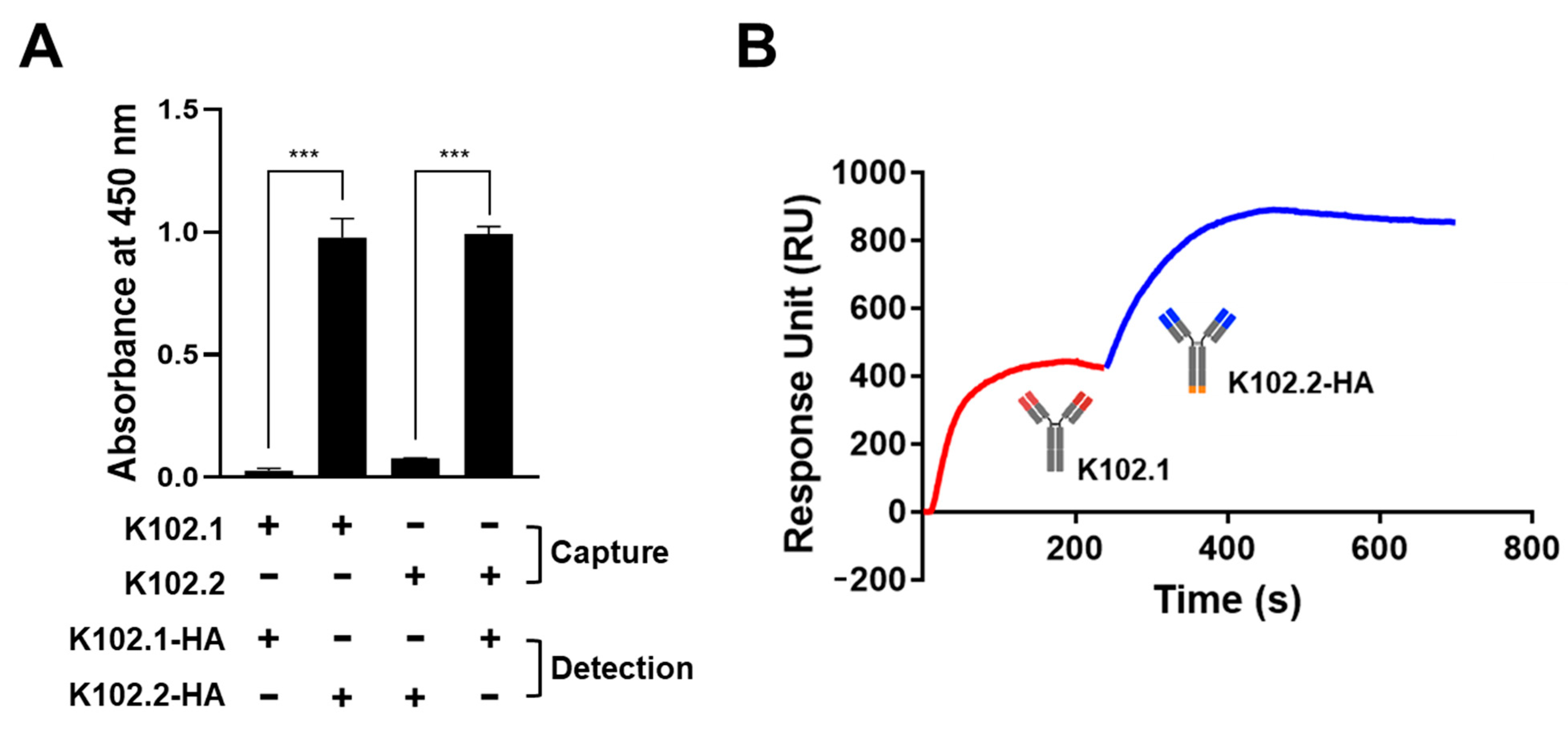 Biomedicines 10 03274 g006 Biomedicines 10 03274 g006