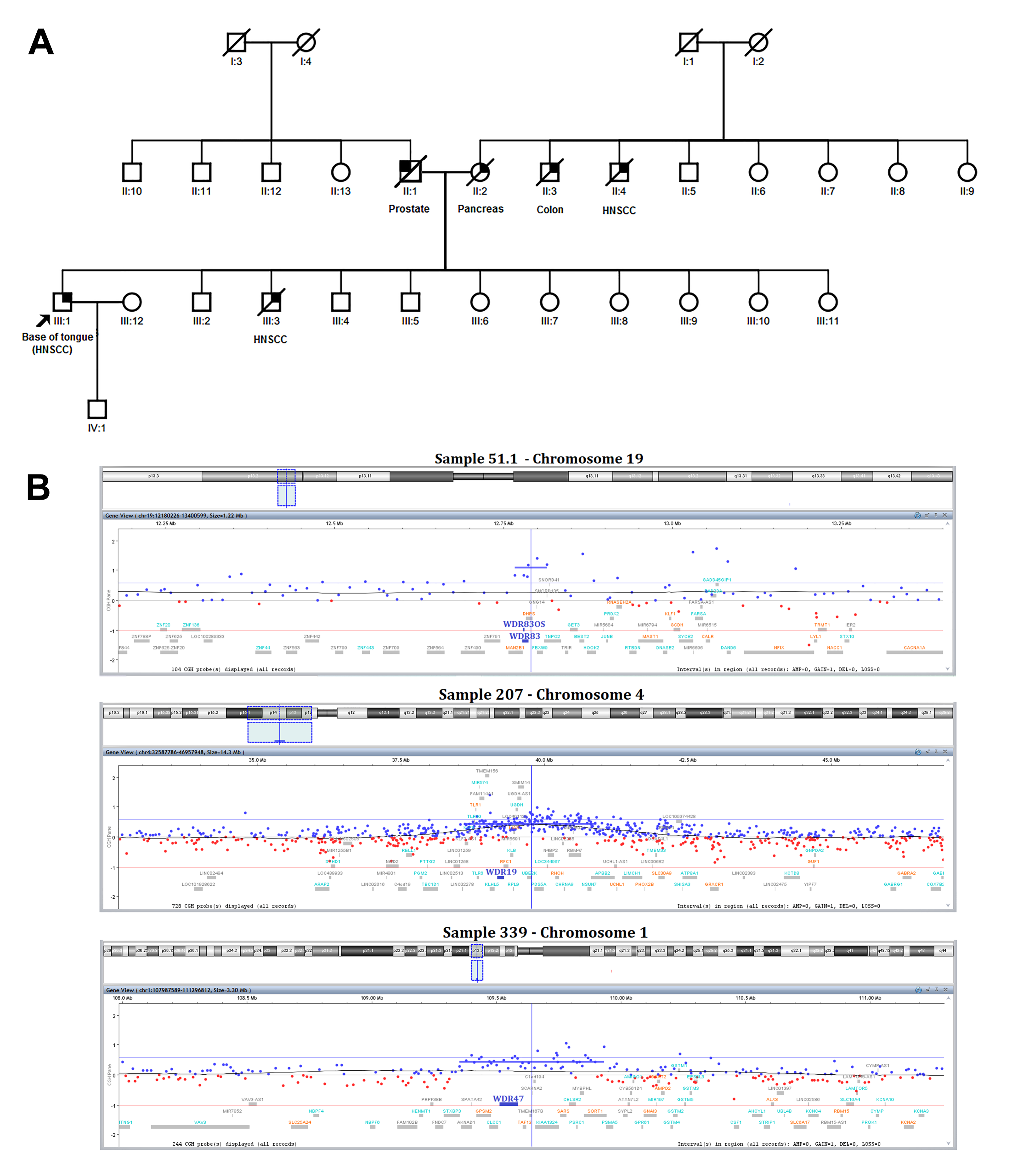 Biomedicines 10 03278 g001 Biomedicines 10 03278 g001