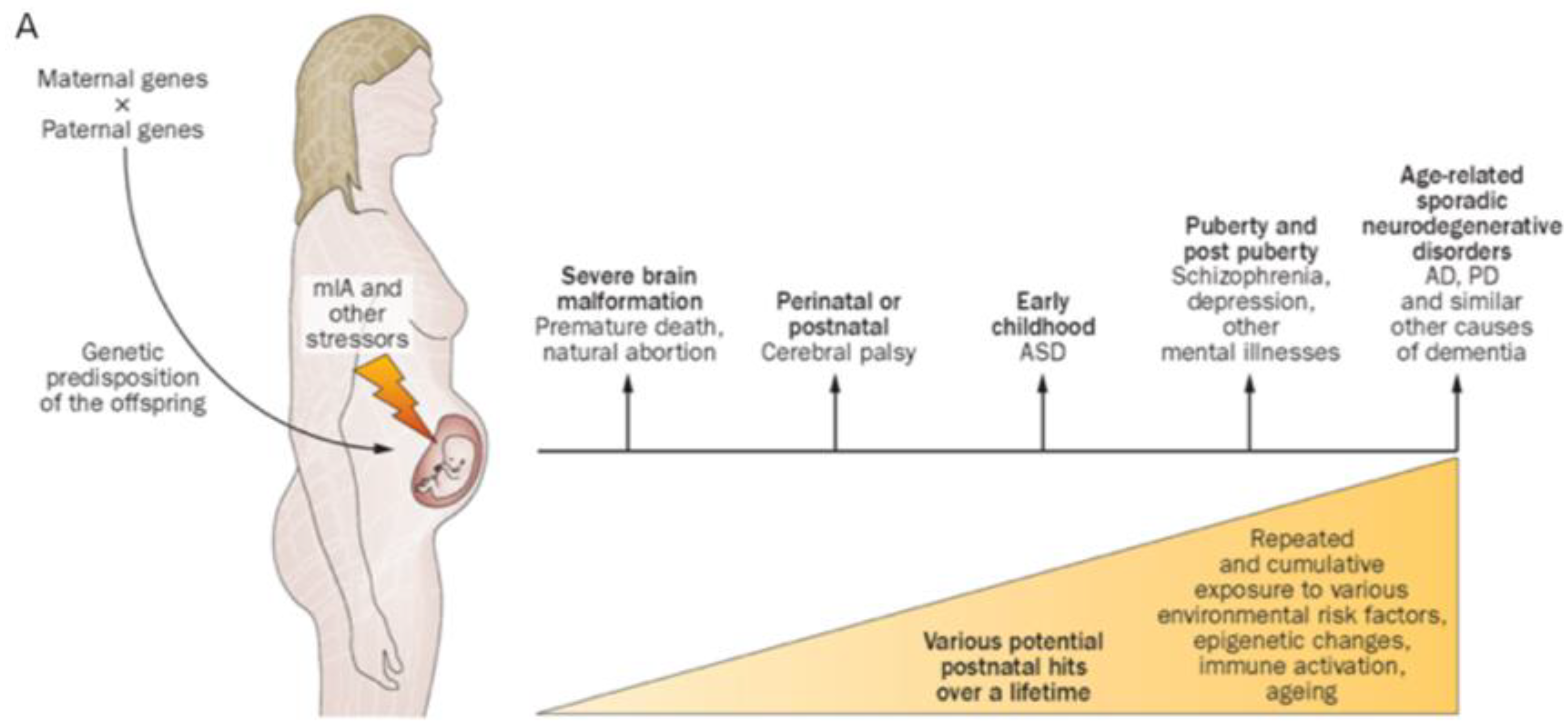 Biomedicines 10 03290 g002a