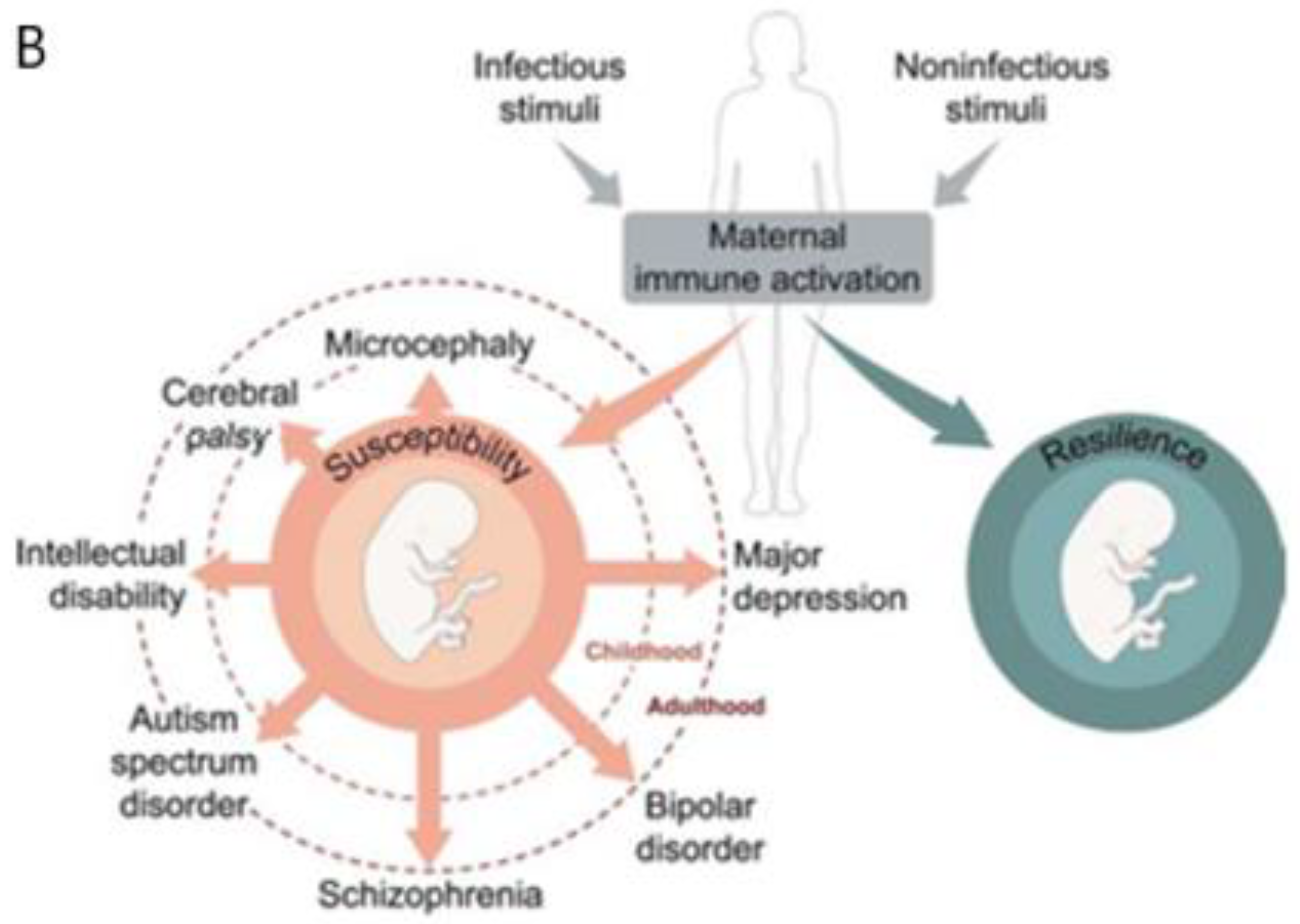 Biomedicines 10 03290 g002b