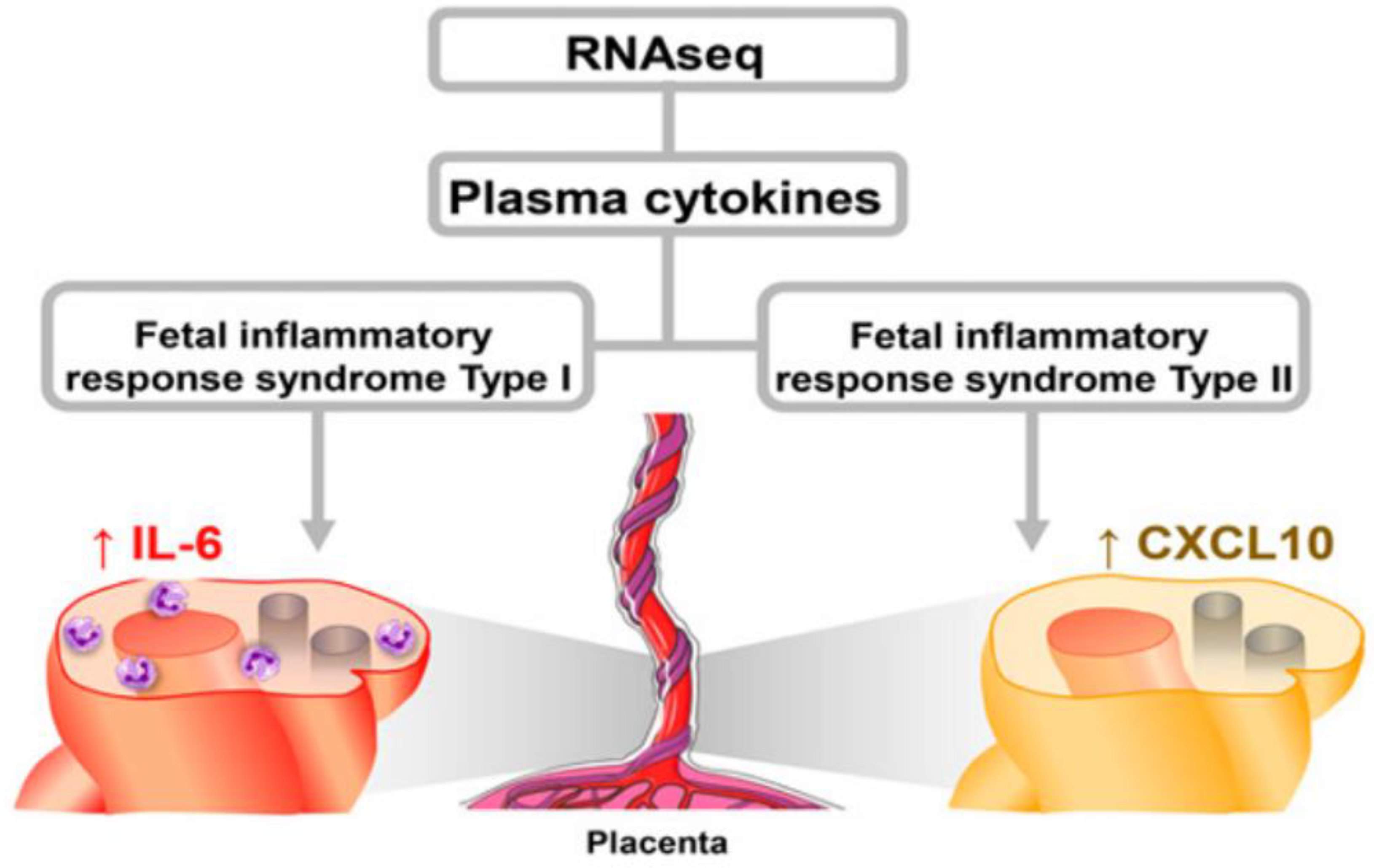 Biomedicines 10 03290 g004