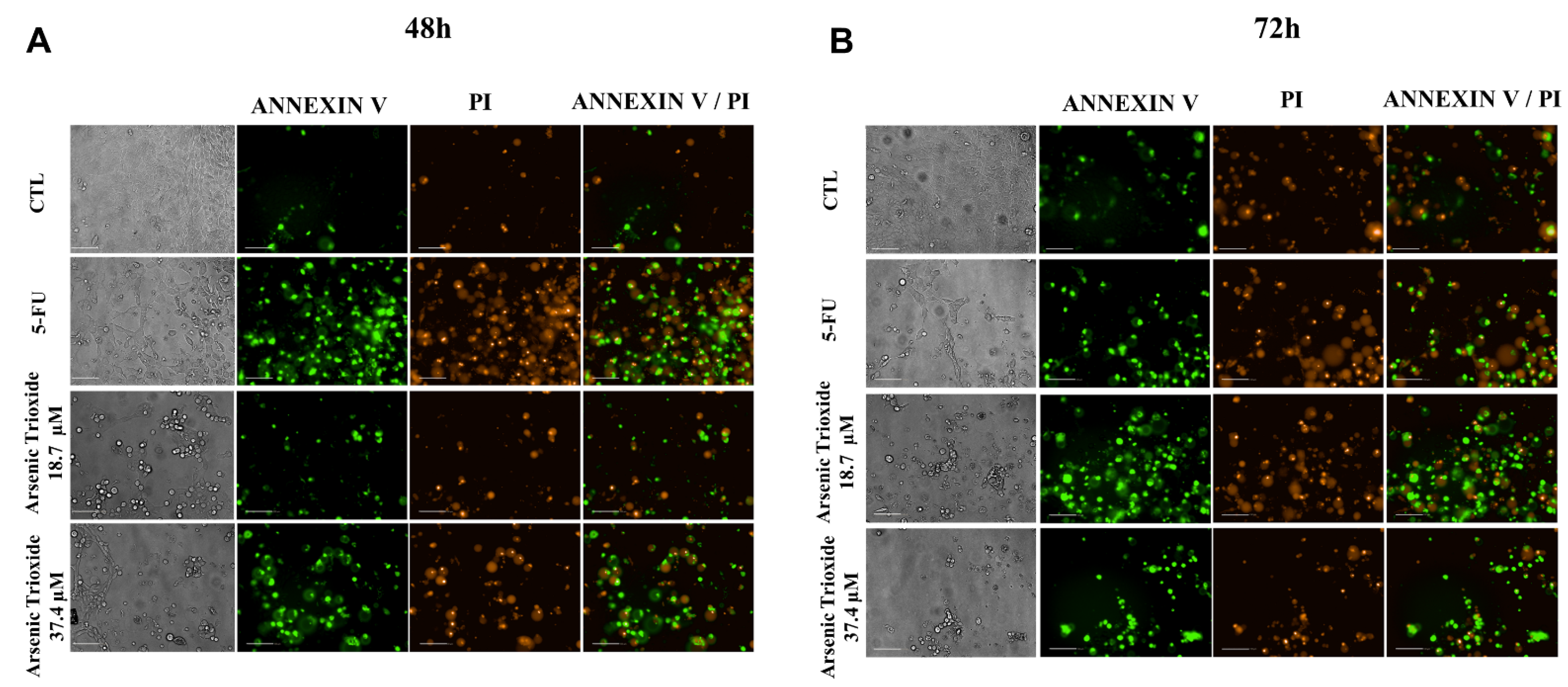 Biomedicines 10 03293 g004