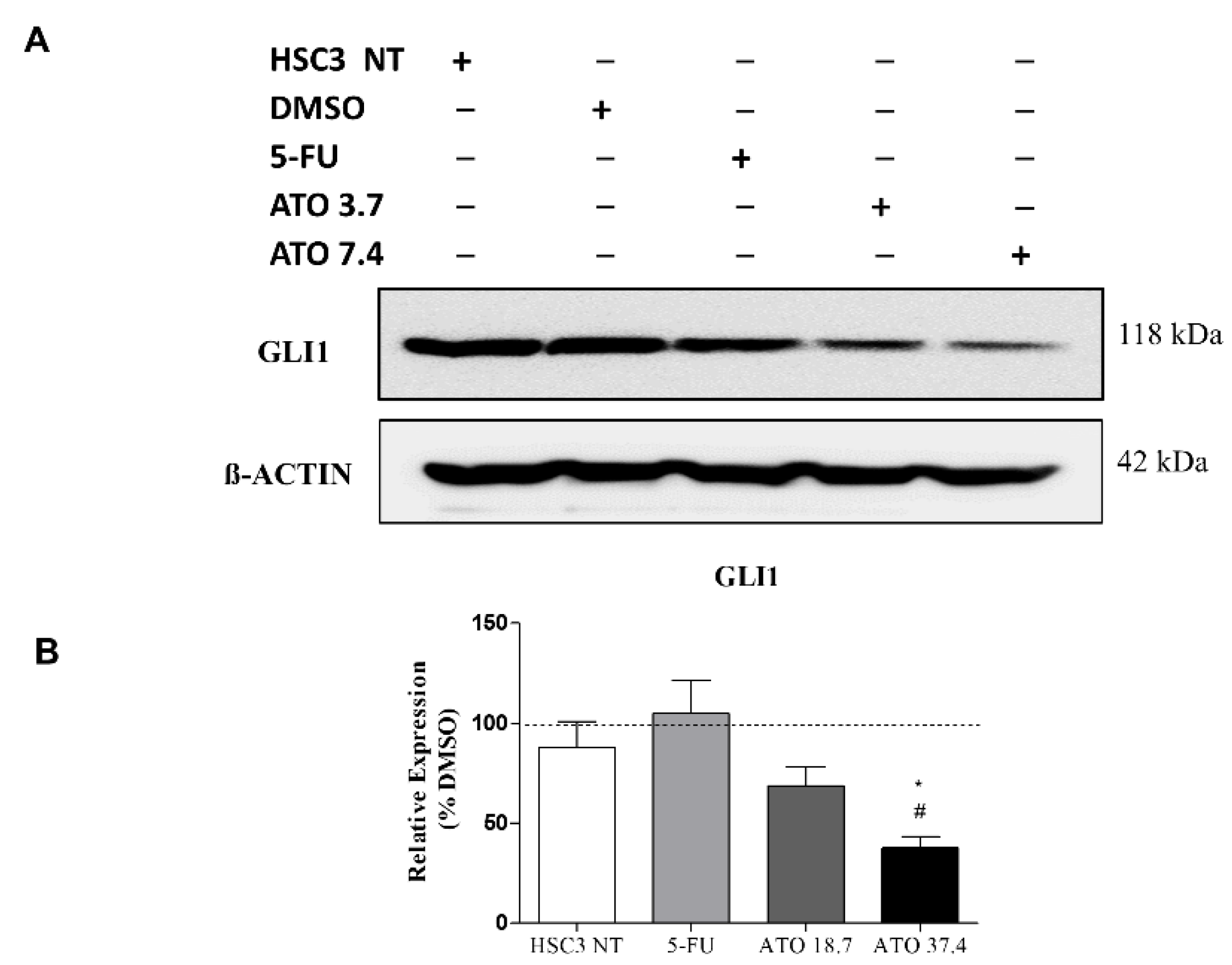 Biomedicines 10 03293 g007