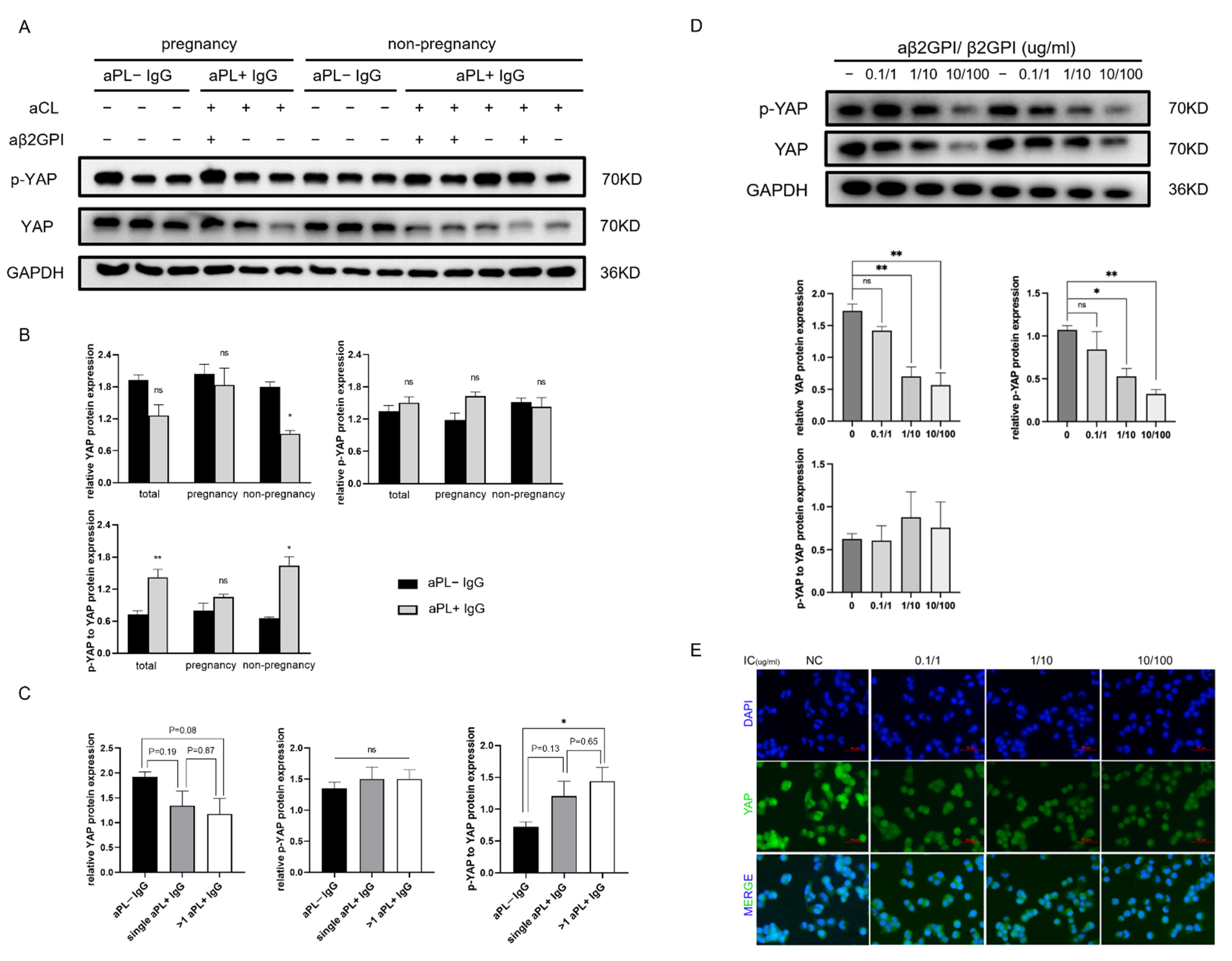 Biomedicines 10 03296 g001 Biomedicines 10 03296 g001