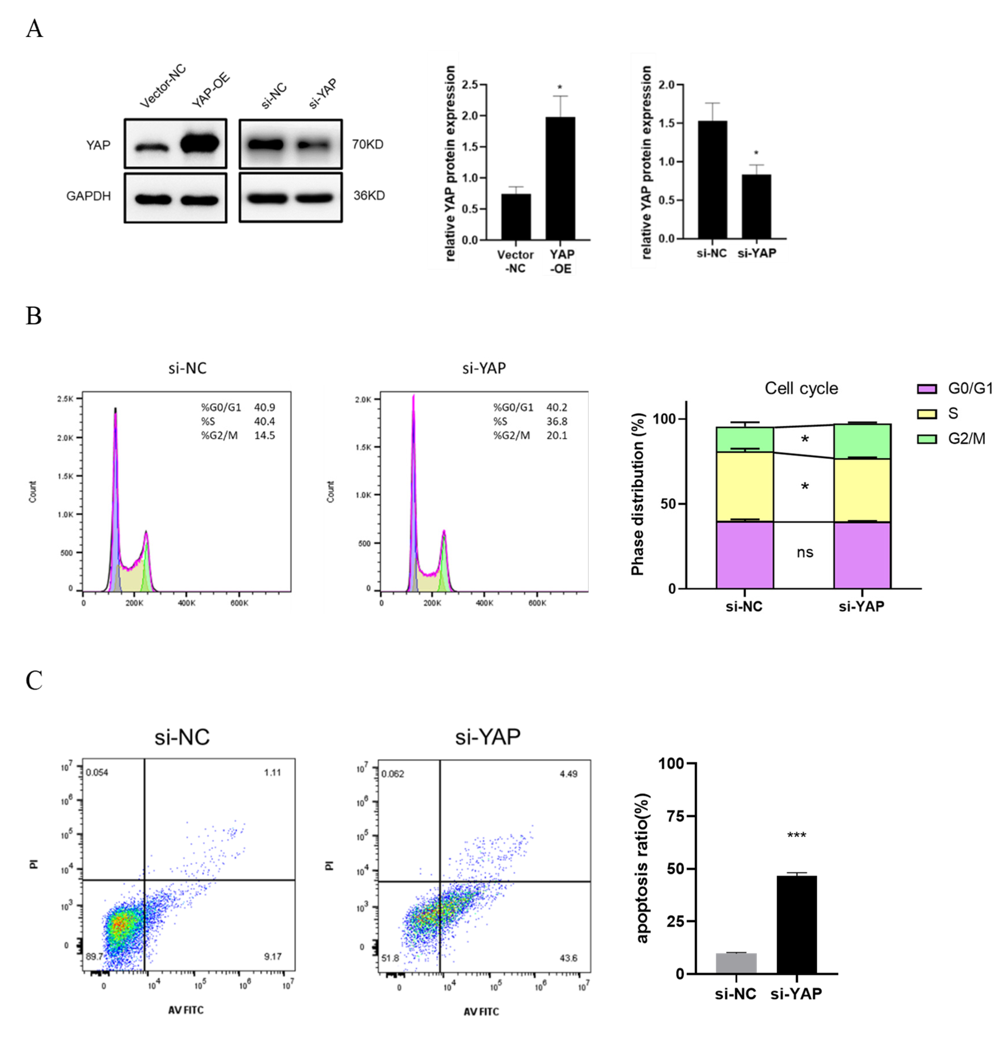 Biomedicines 10 03296 g003a Biomedicines 10 03296 g003a