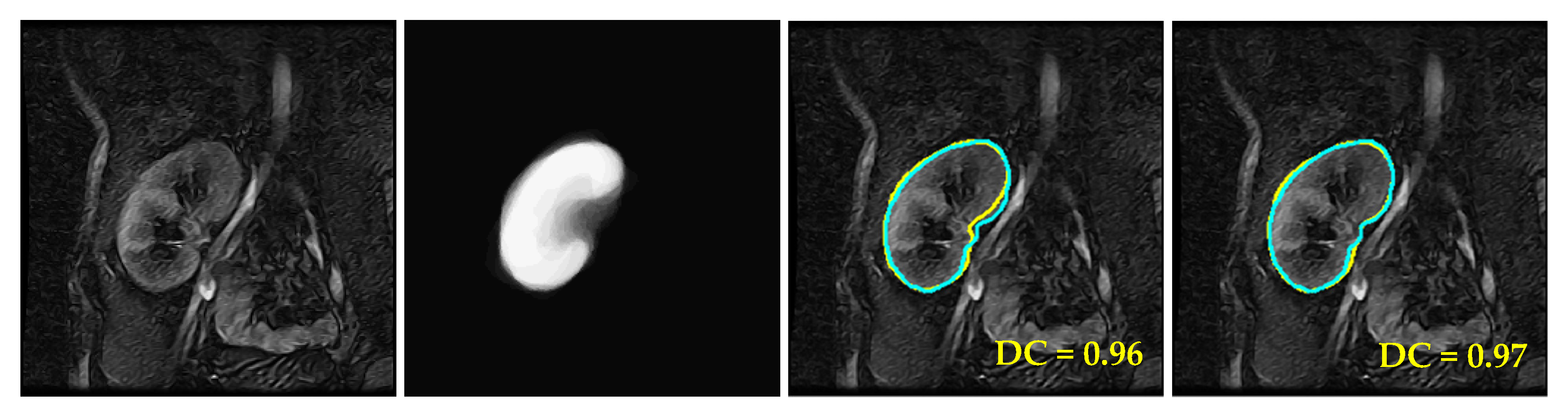 Biomedicines 11 00006 g007a Biomedicines 11 00006 g007a