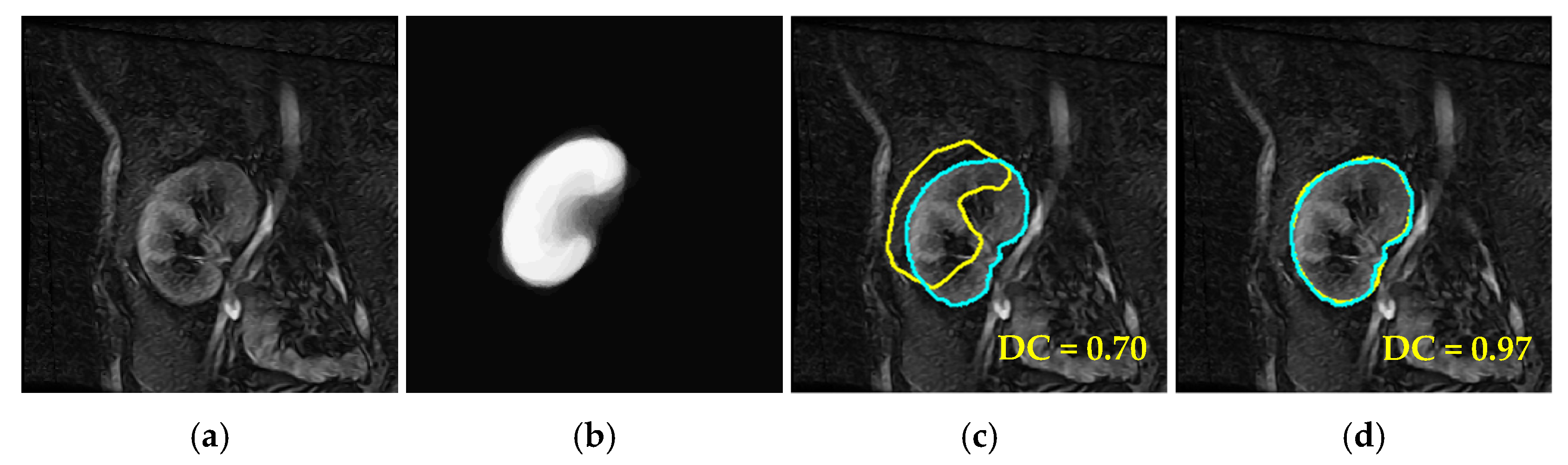 Biomedicines 11 00006 g007b Biomedicines 11 00006 g007b