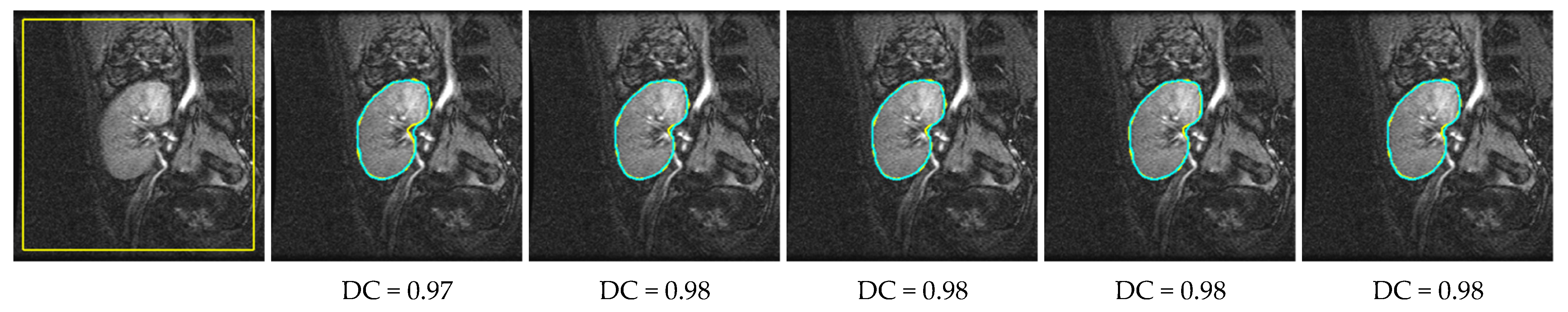 Biomedicines 11 00006 g008a Biomedicines 11 00006 g008a