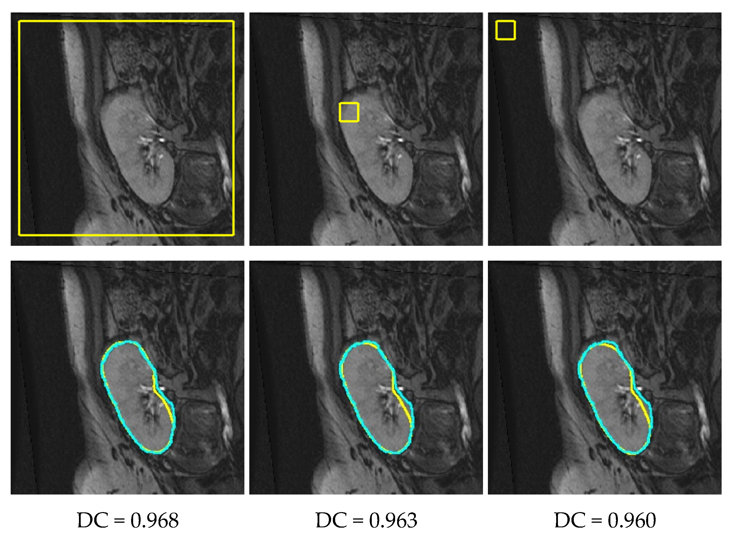 Biomedicines 11 00006 g009 Biomedicines 11 00006 g009