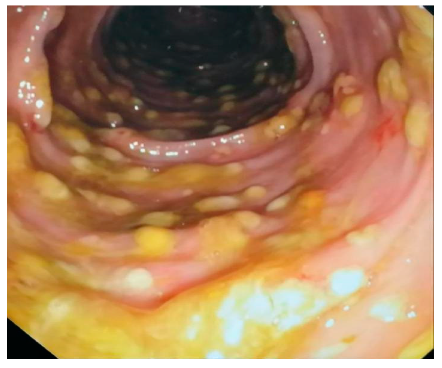 Biomedicines 11 00007 g002 Biomedicines 11 00007 g002