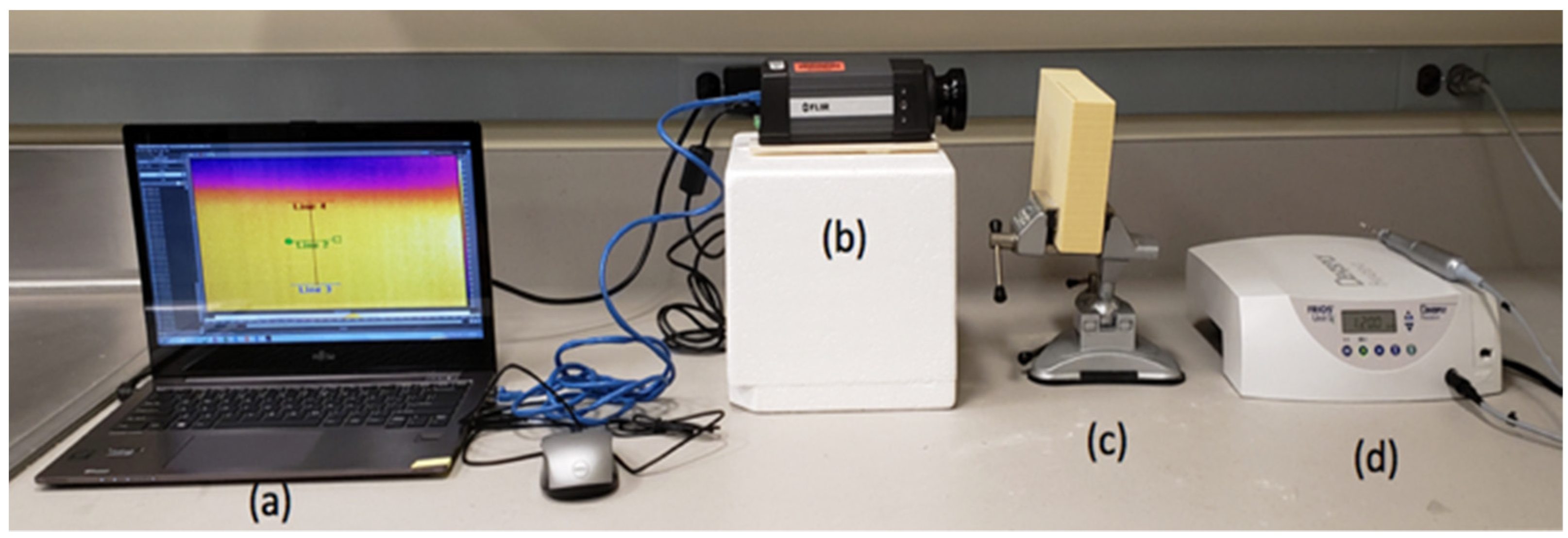 Biomedicines 11 00009 g001