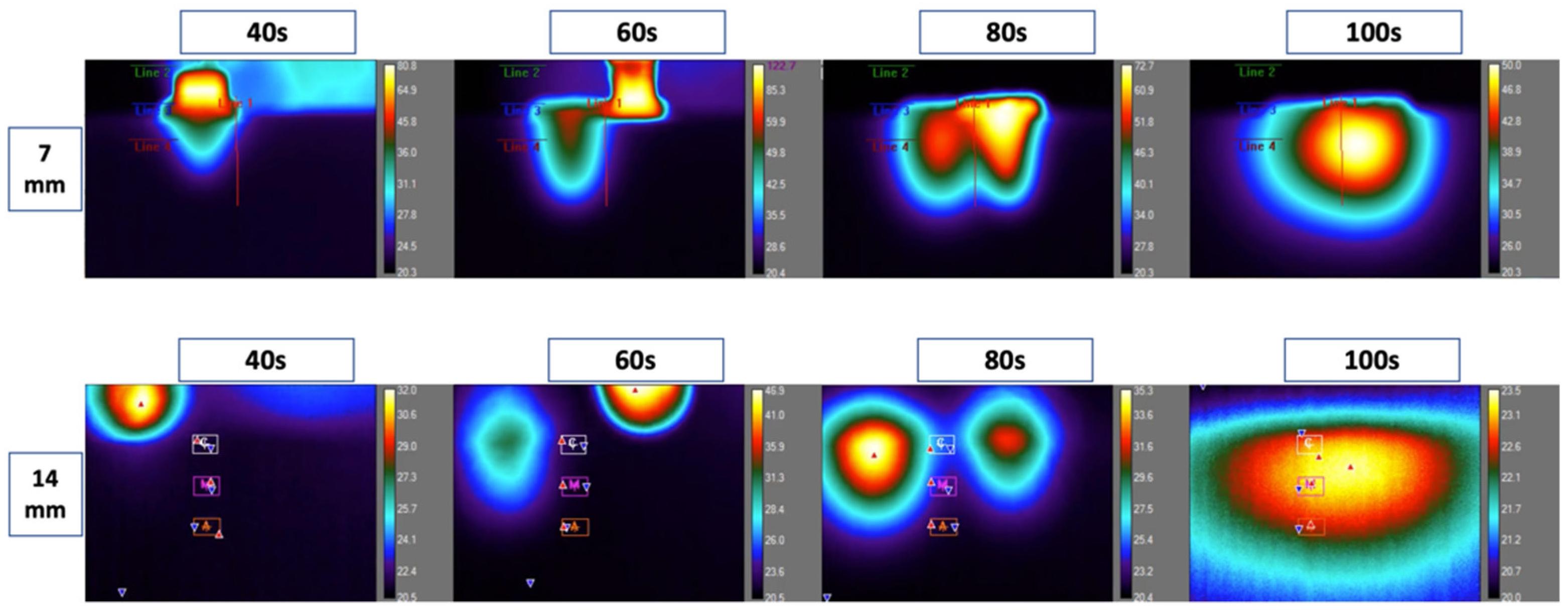 Biomedicines 11 00009 g003