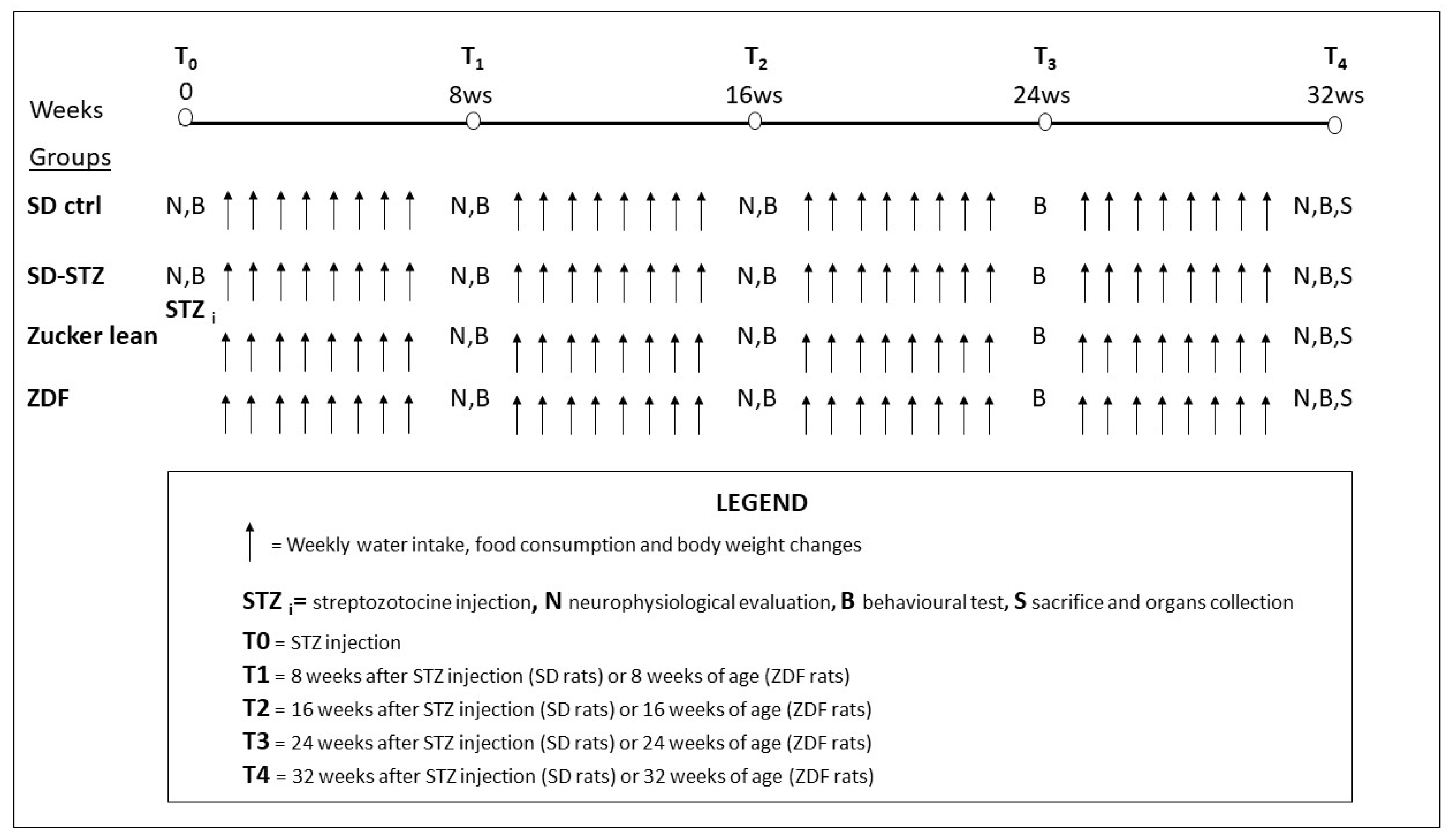 Biomedicines 11 00020 g001 Biomedicines 11 00020 g001