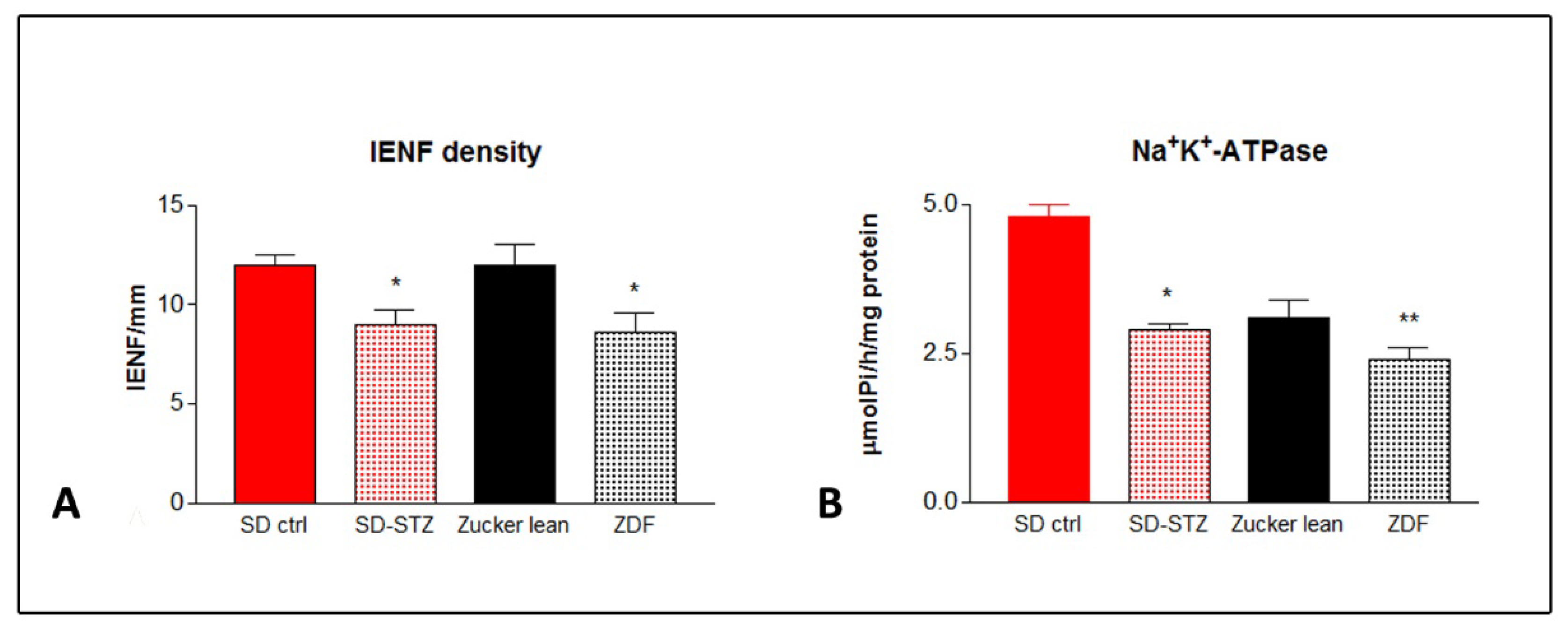 Biomedicines 11 00020 g005 Biomedicines 11 00020 g005