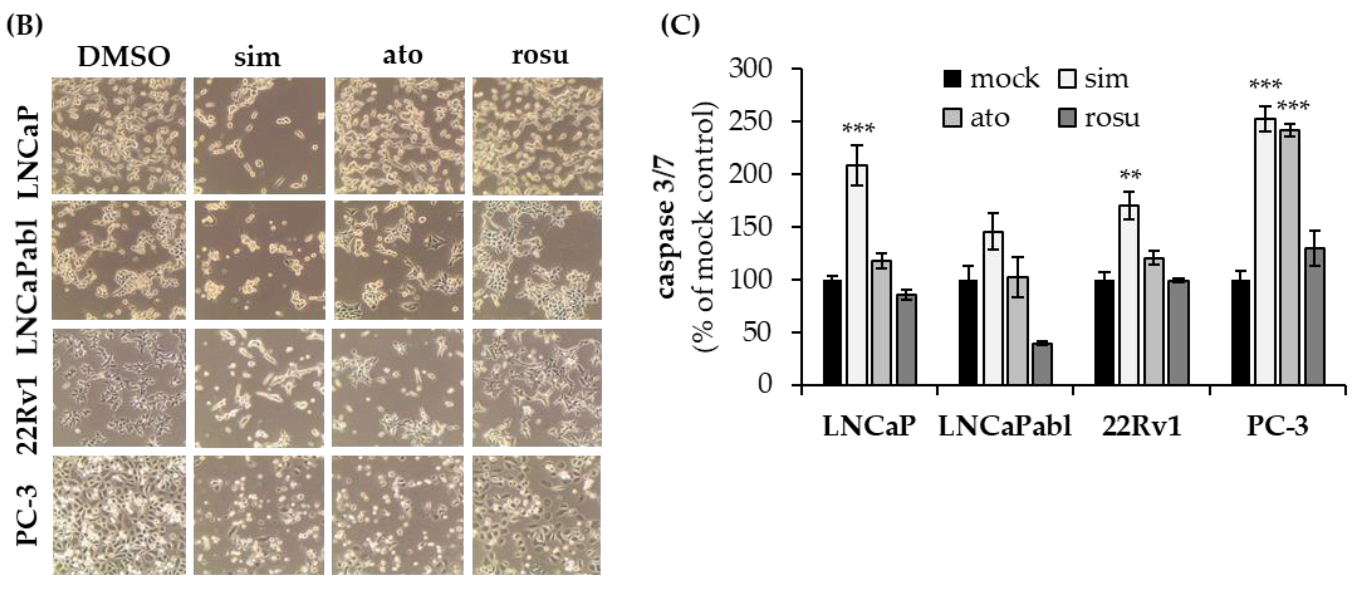 Biomedicines 11 00029 g001b