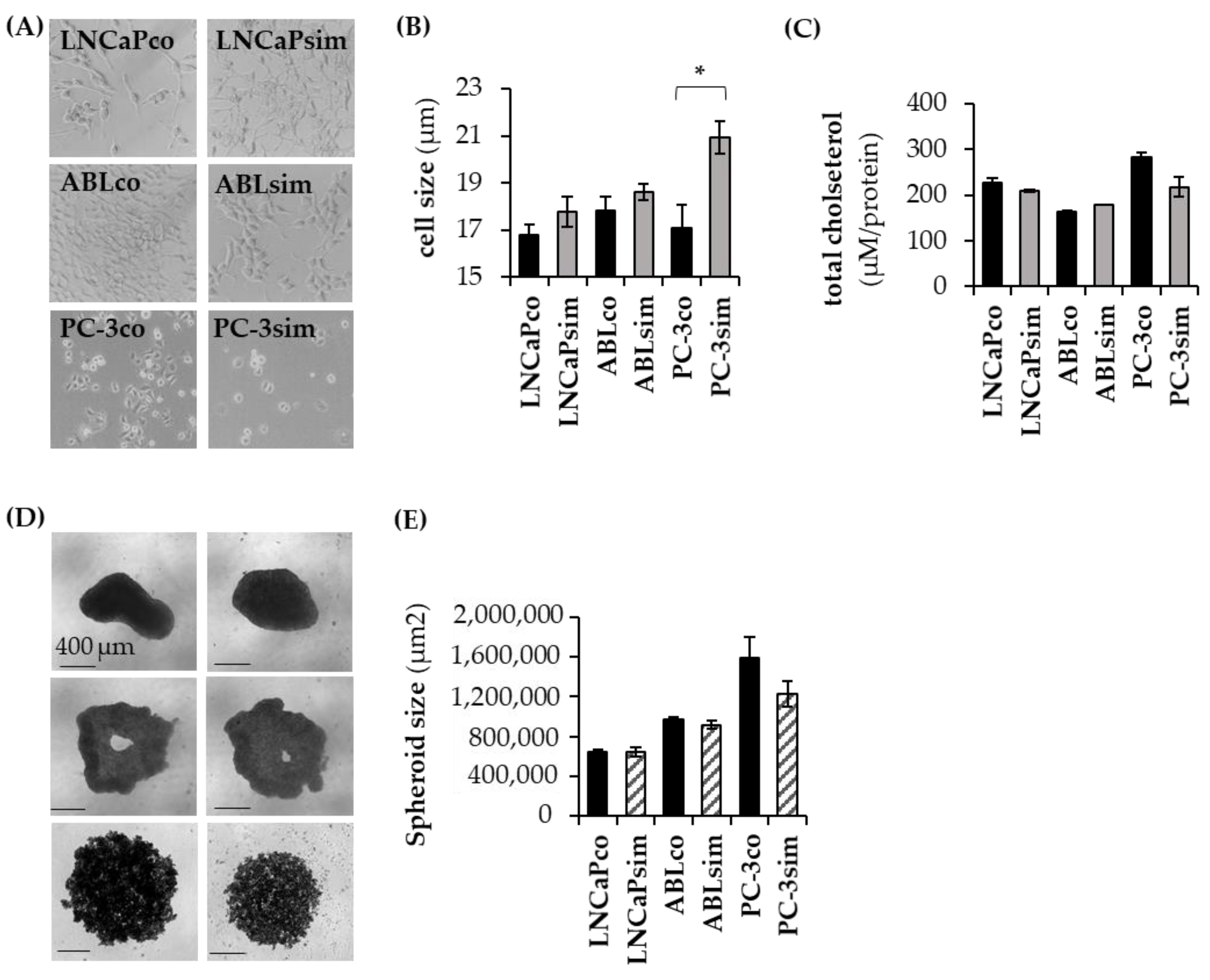 Biomedicines 11 00029 g003