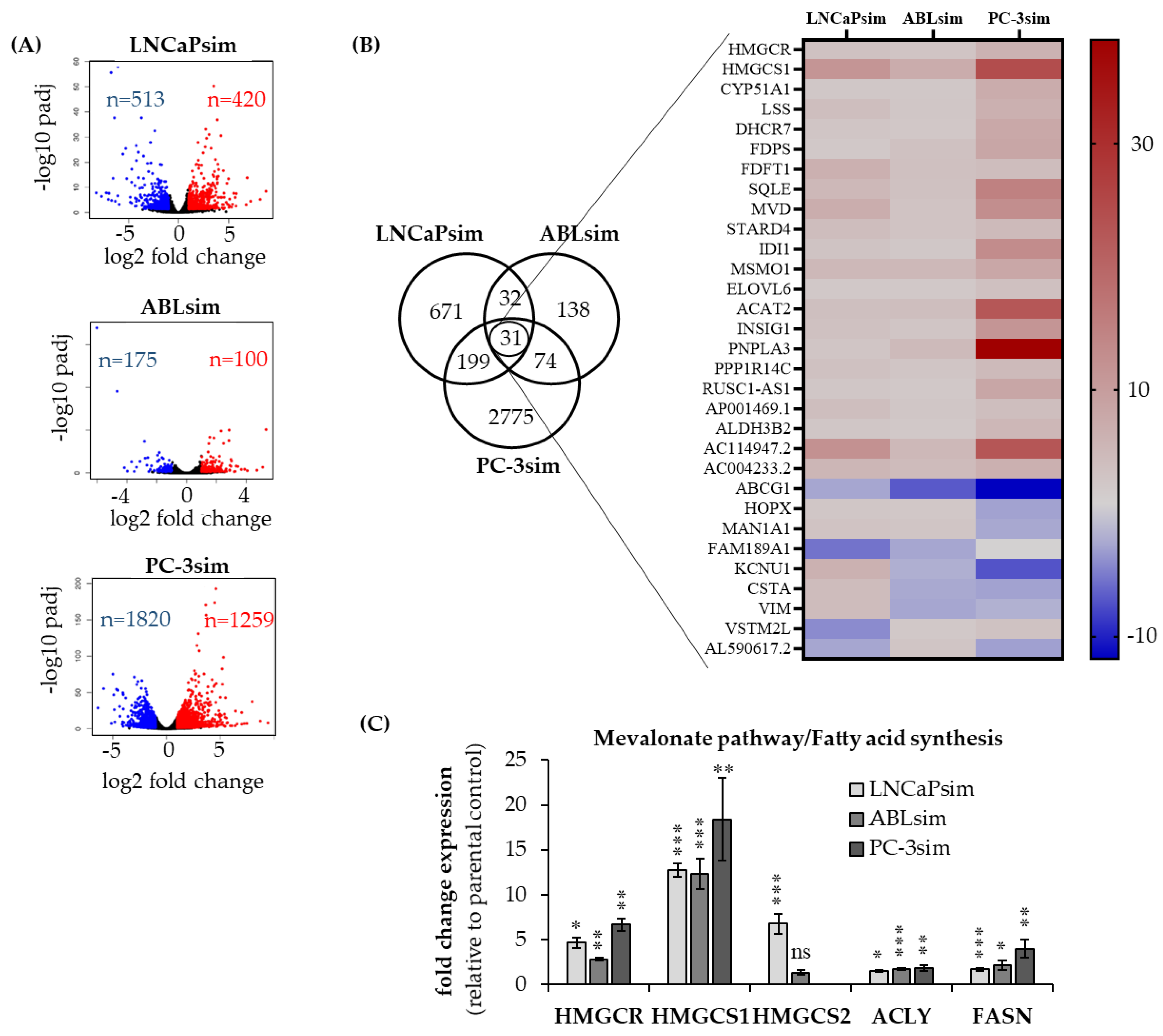 Biomedicines 11 00029 g005