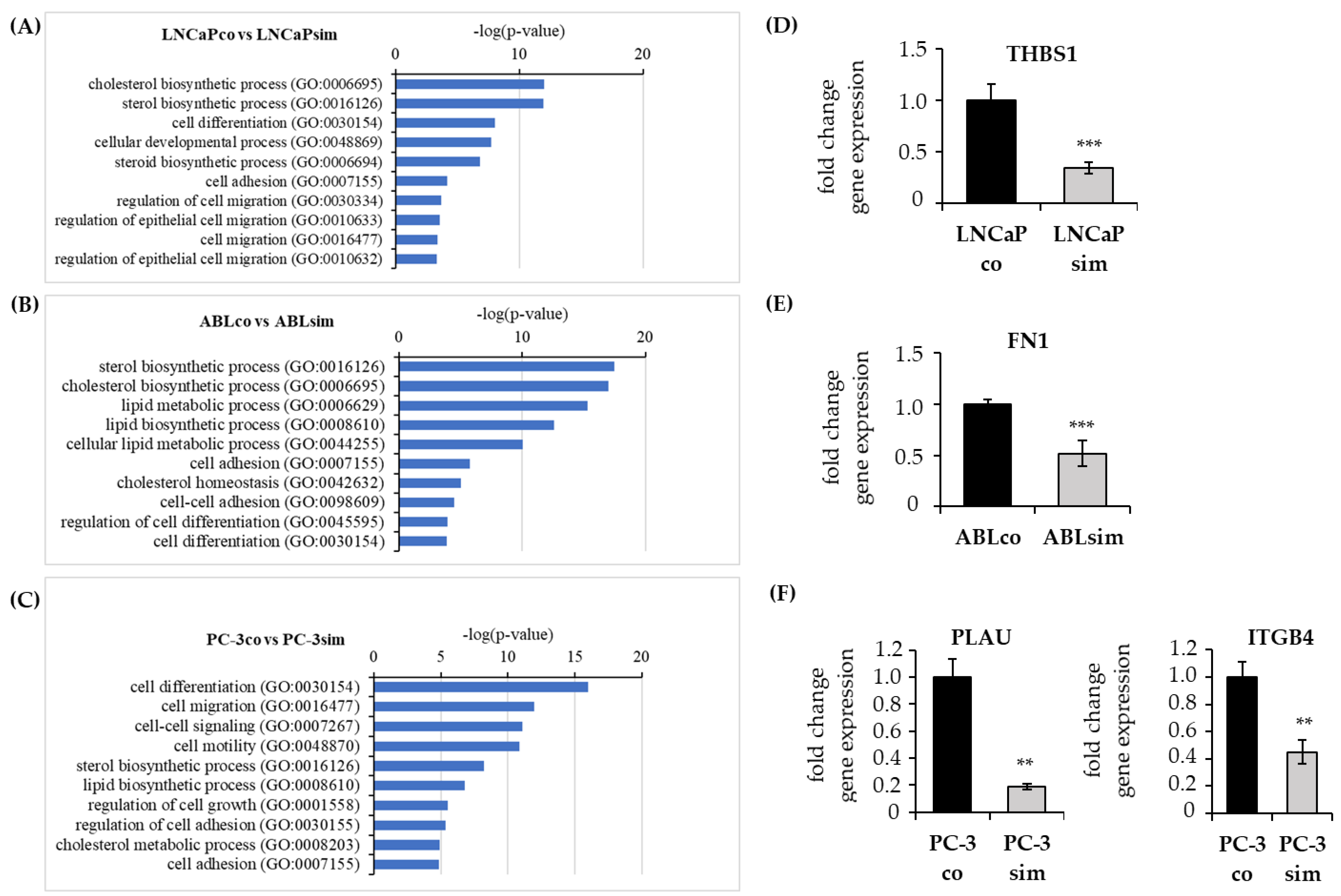 Biomedicines 11 00029 g006