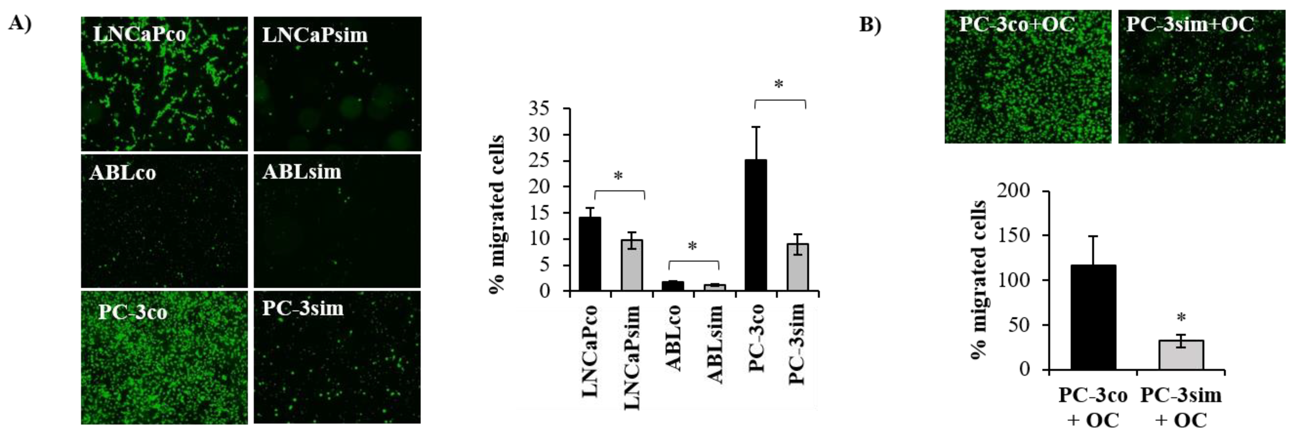 Biomedicines 11 00029 g007