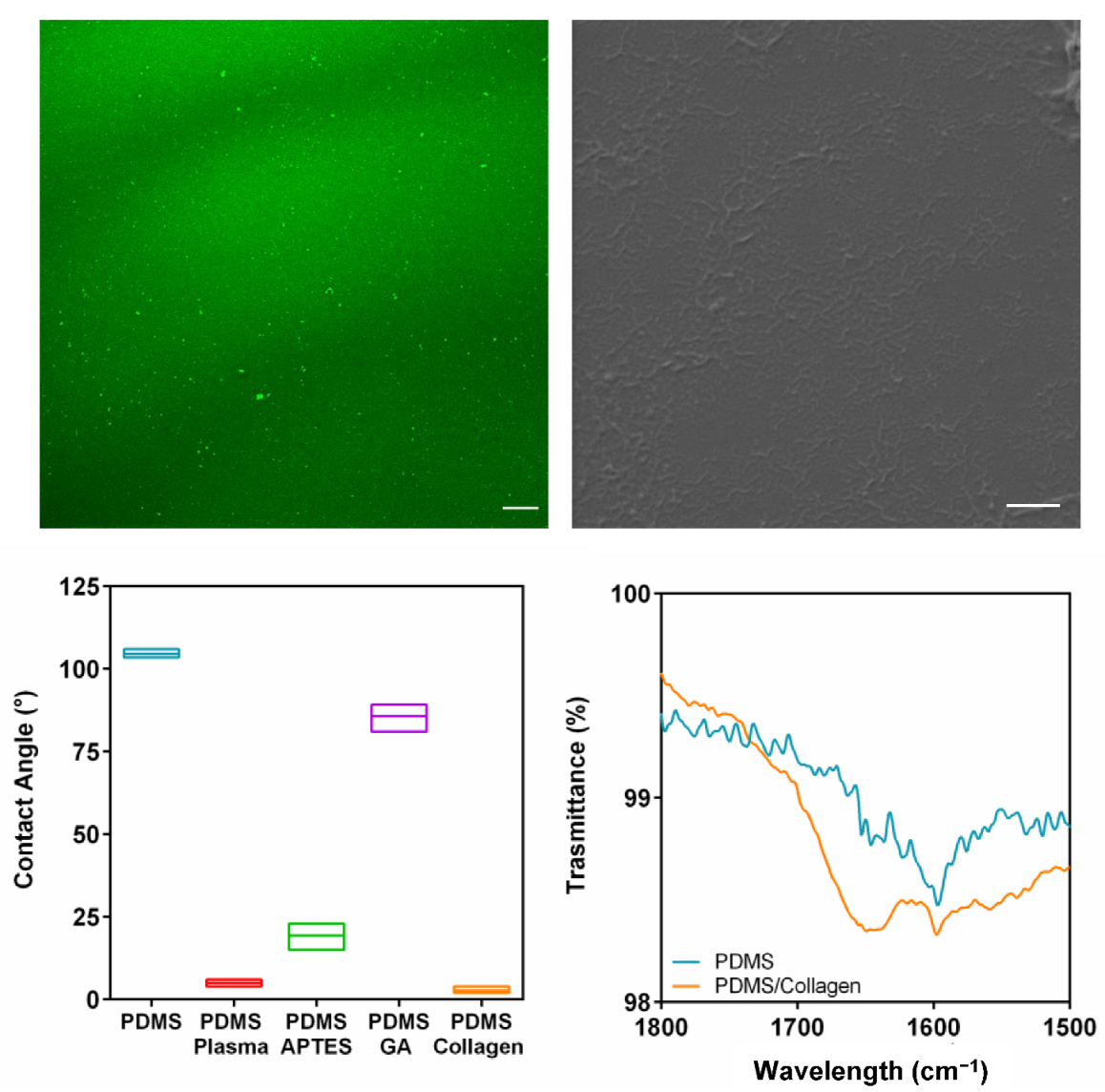 Biomedicines Free FullText A NearInfrared Mechanically Switchable