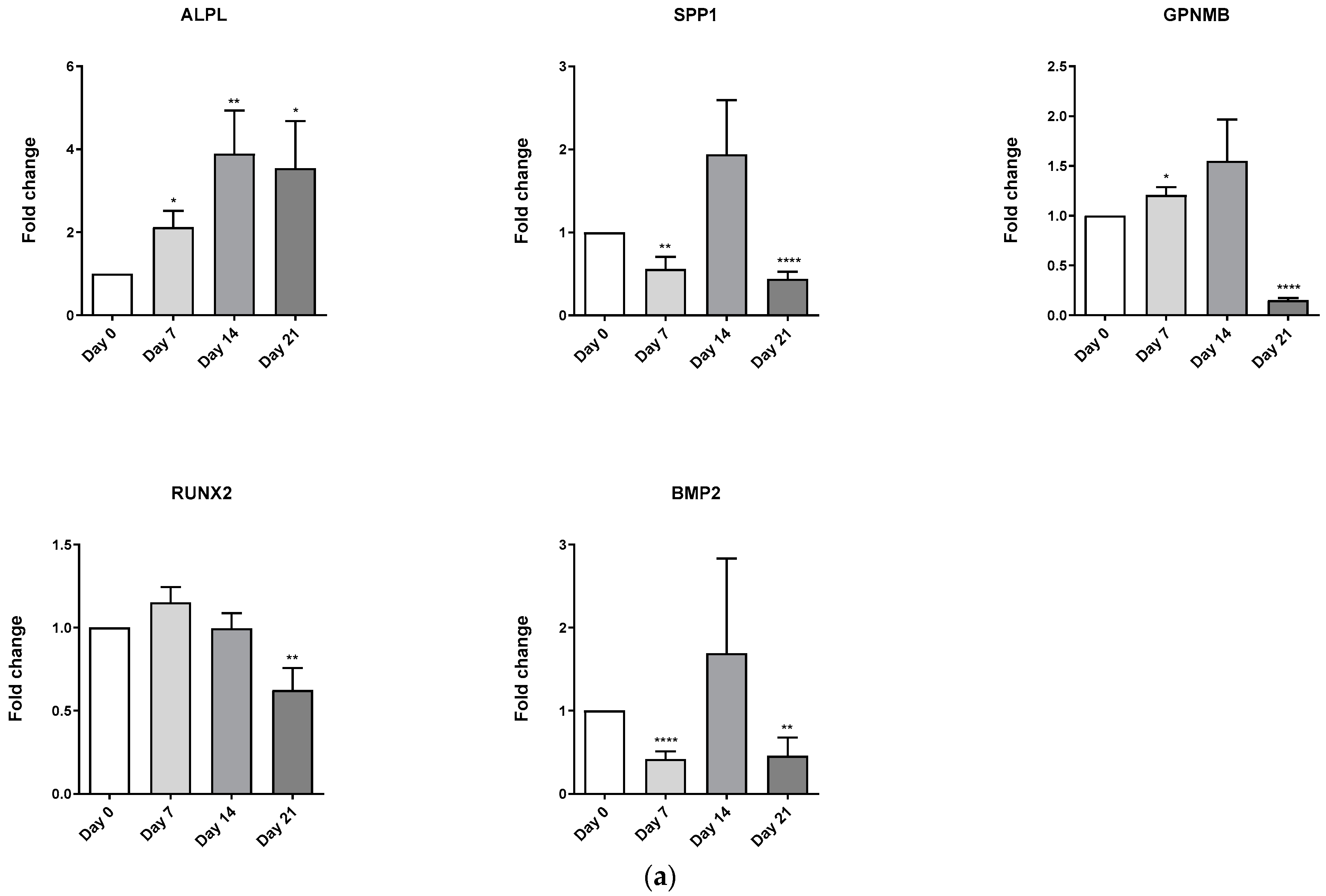 Biomedicines 11 00031 g004a Biomedicines 11 00031 g004a