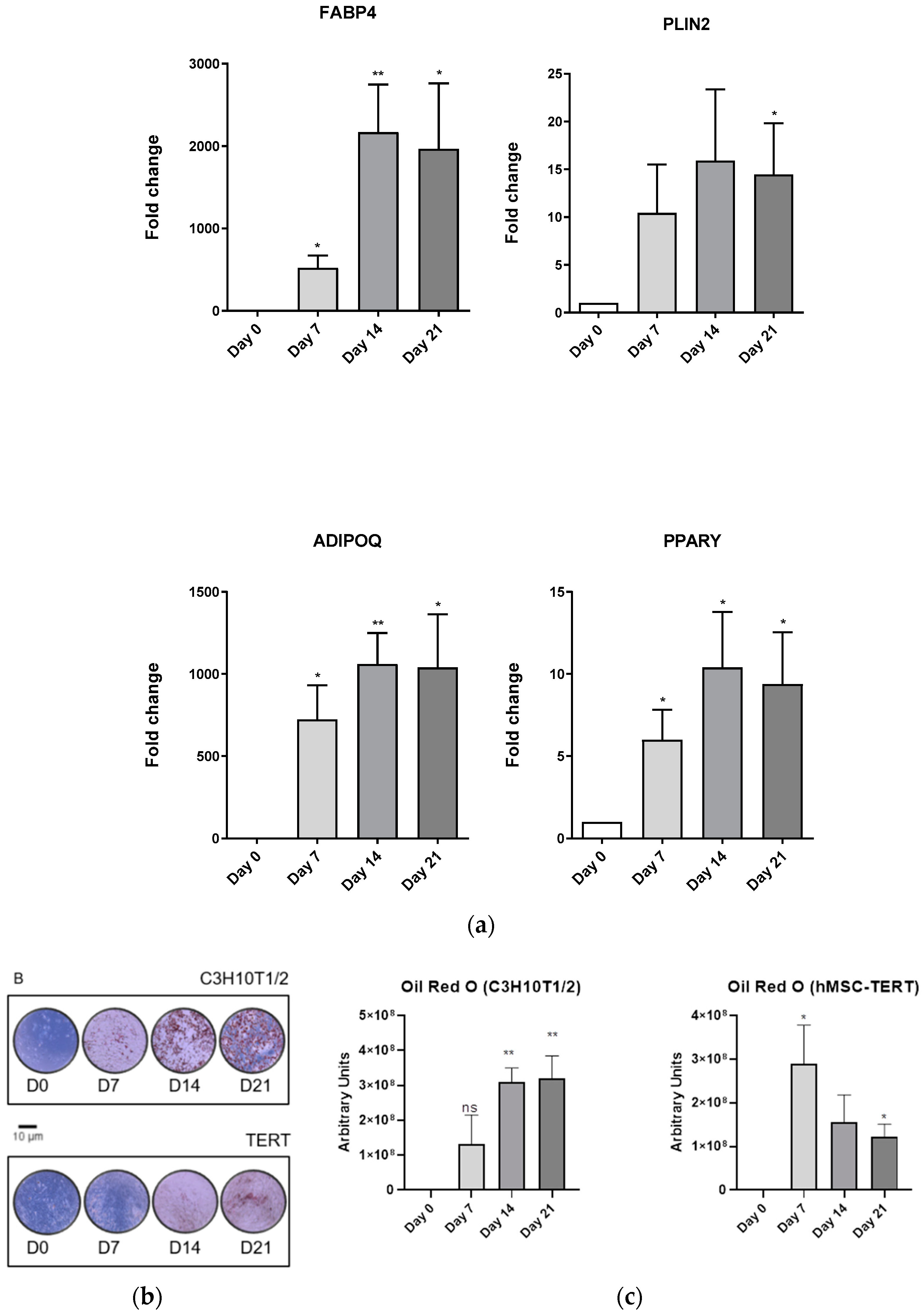 Biomedicines 11 00031 g005a Biomedicines 11 00031 g005a