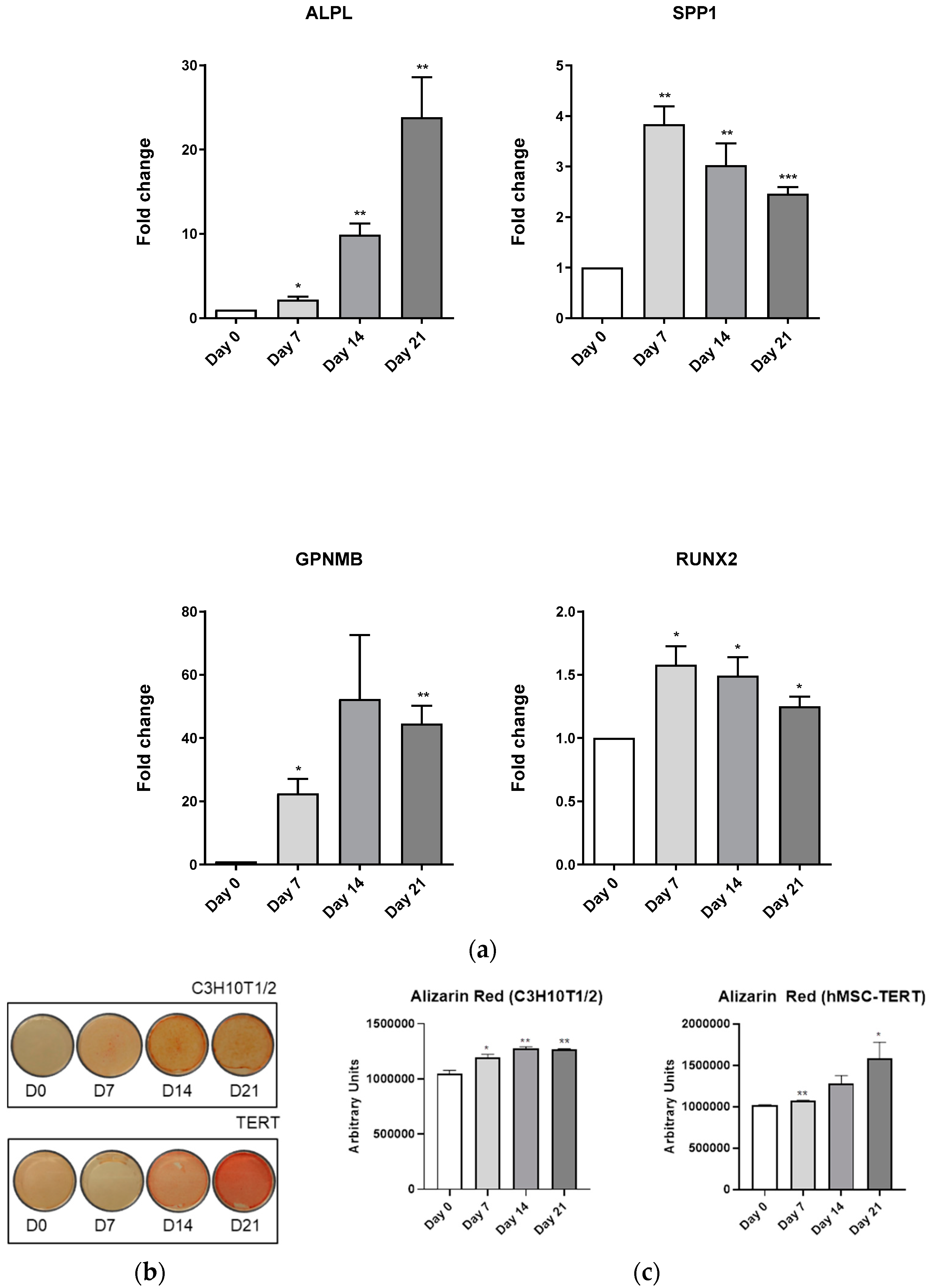 Biomedicines 11 00031 g006a Biomedicines 11 00031 g006a
