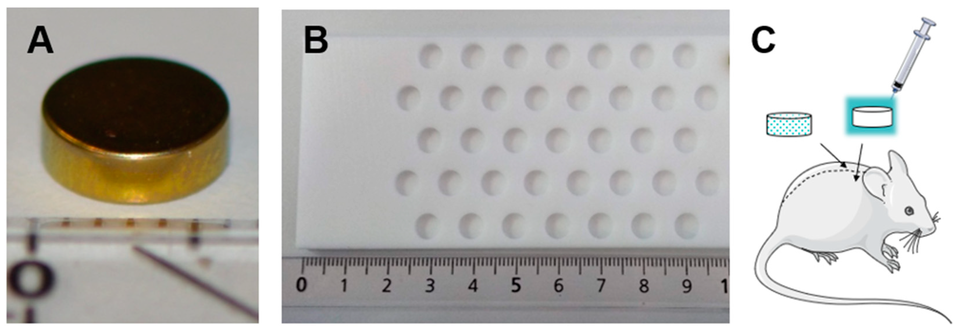 Biomedicines 11 00040 g001