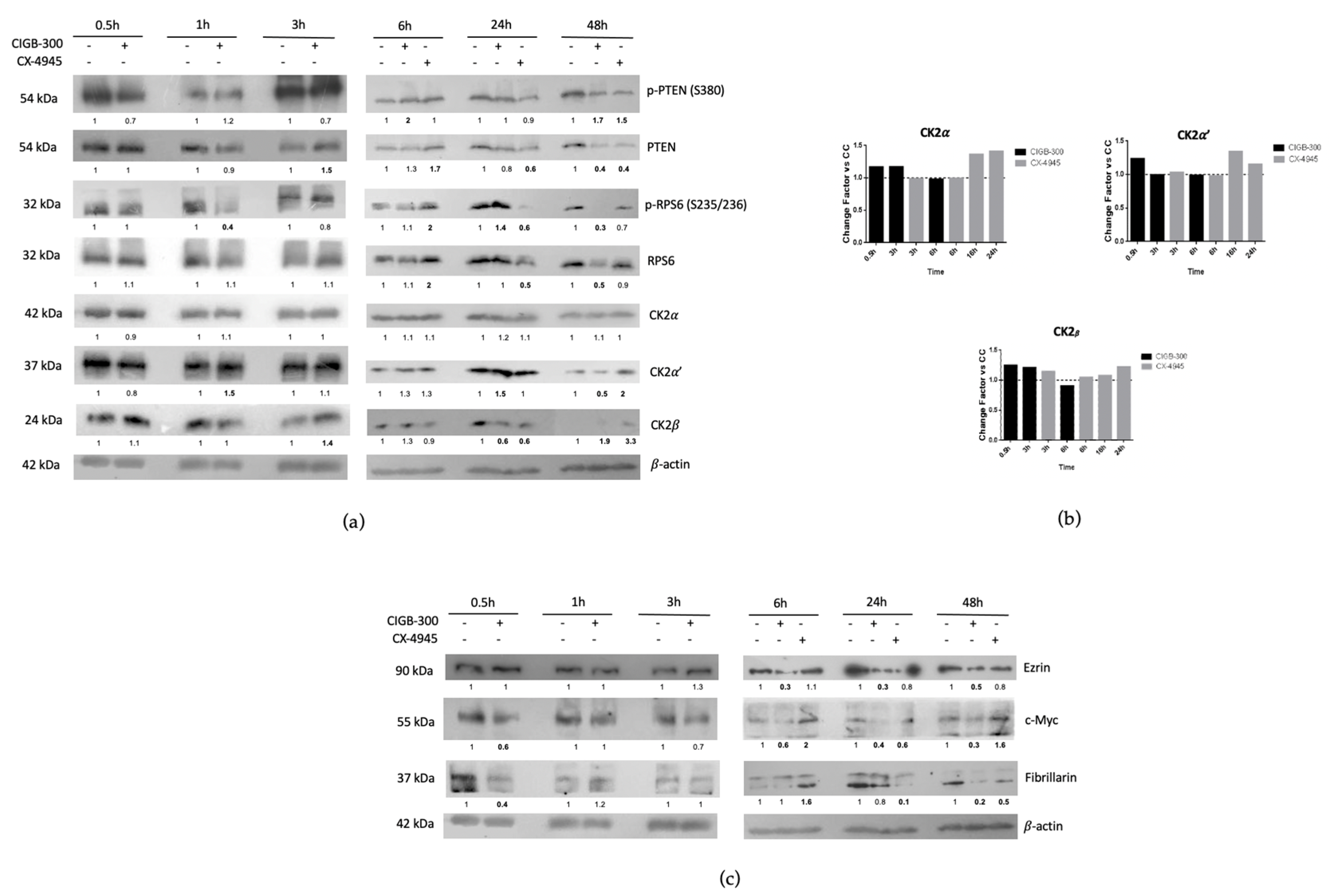 Biomedicines 11 00043 g007 Biomedicines 11 00043 g007