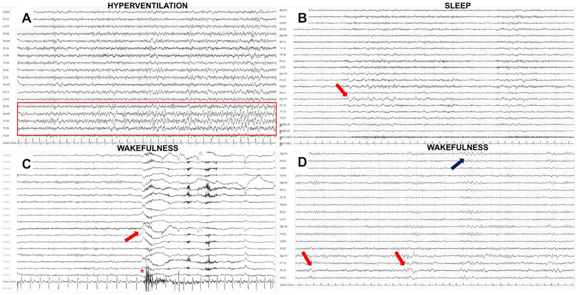 Biomedicines 11 00044 g002