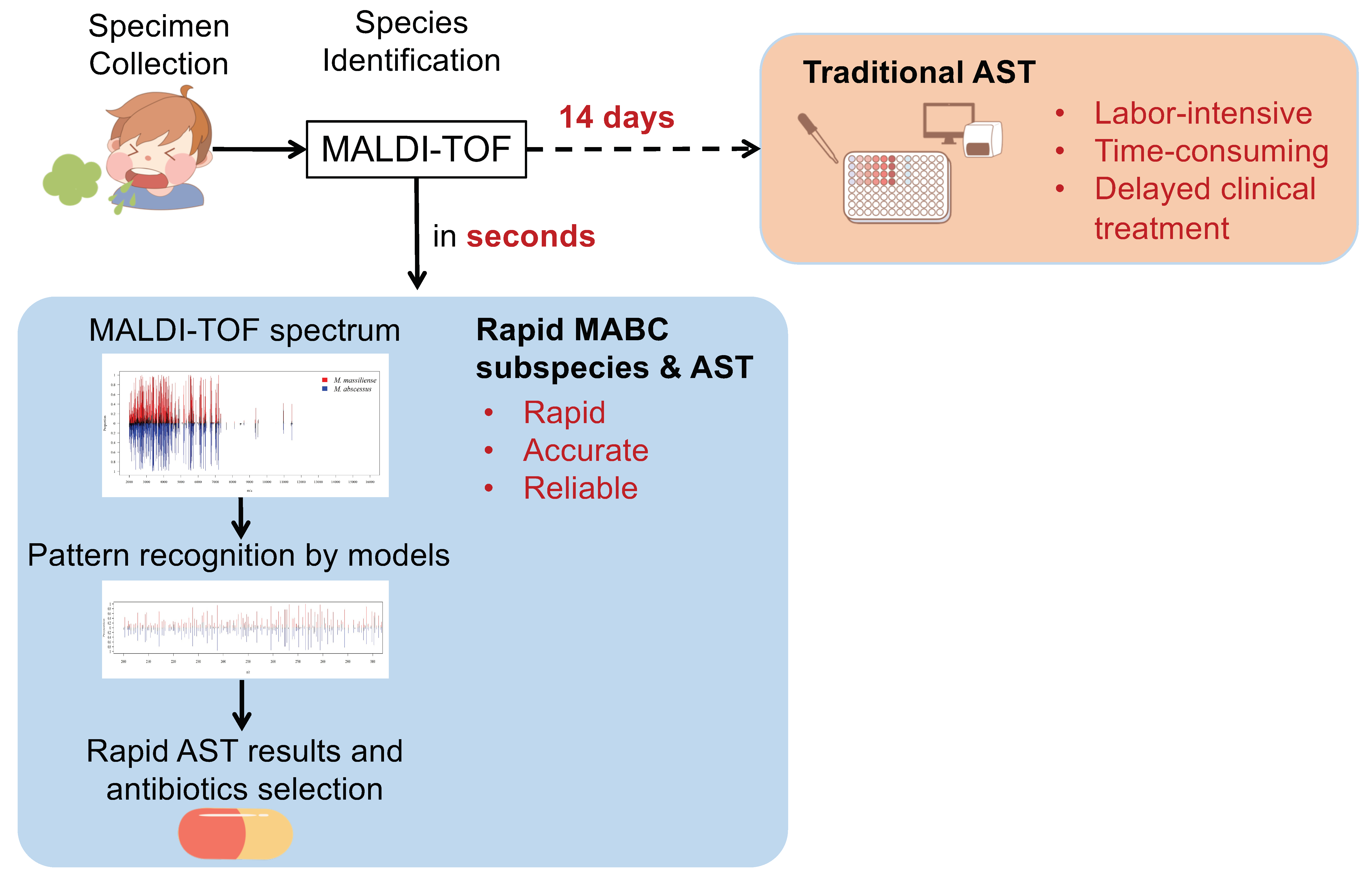 Biomedicines 11 00045 g001 Biomedicines 11 00045 g001