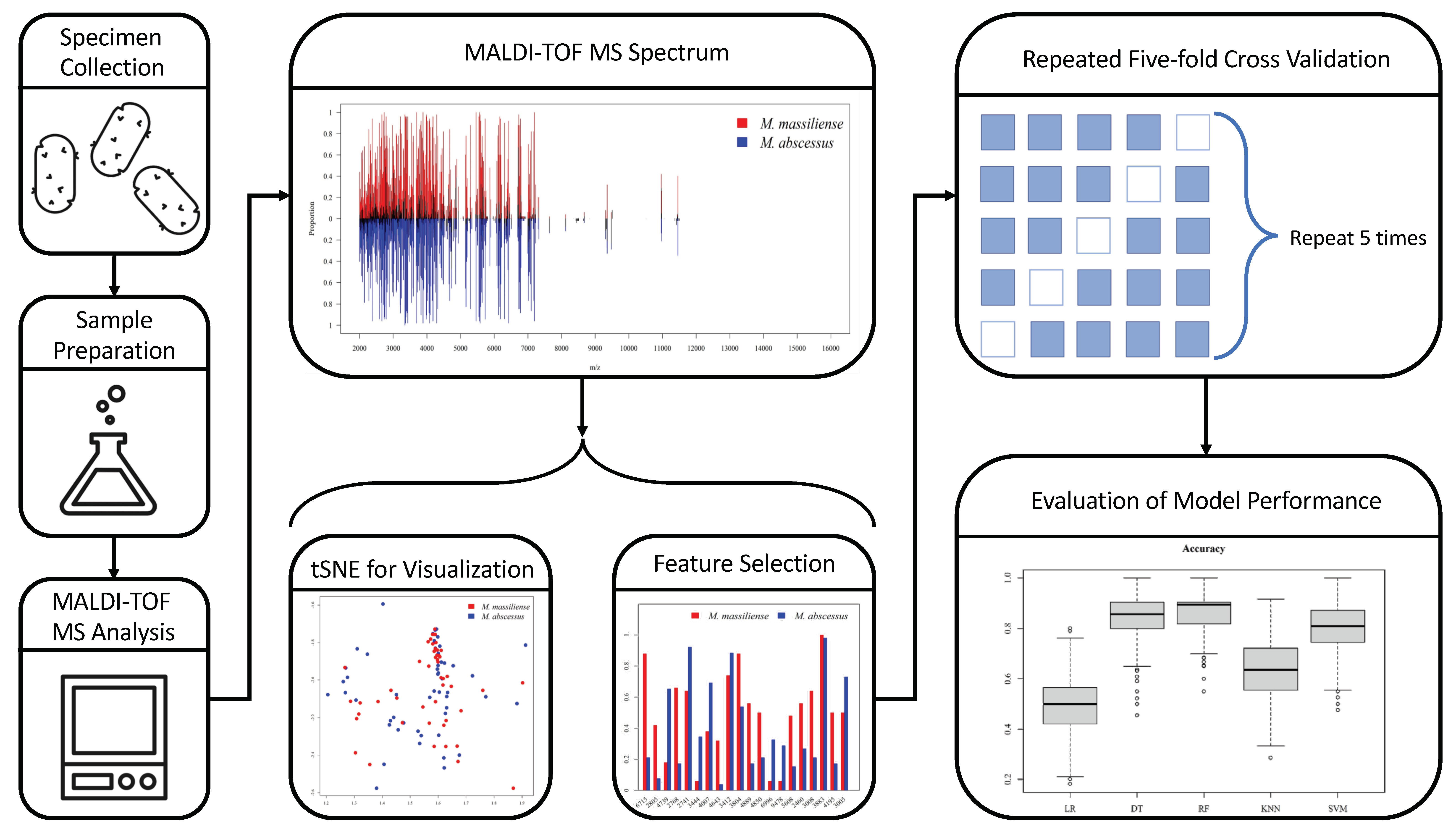 Biomedicines 11 00045 g002 Biomedicines 11 00045 g002