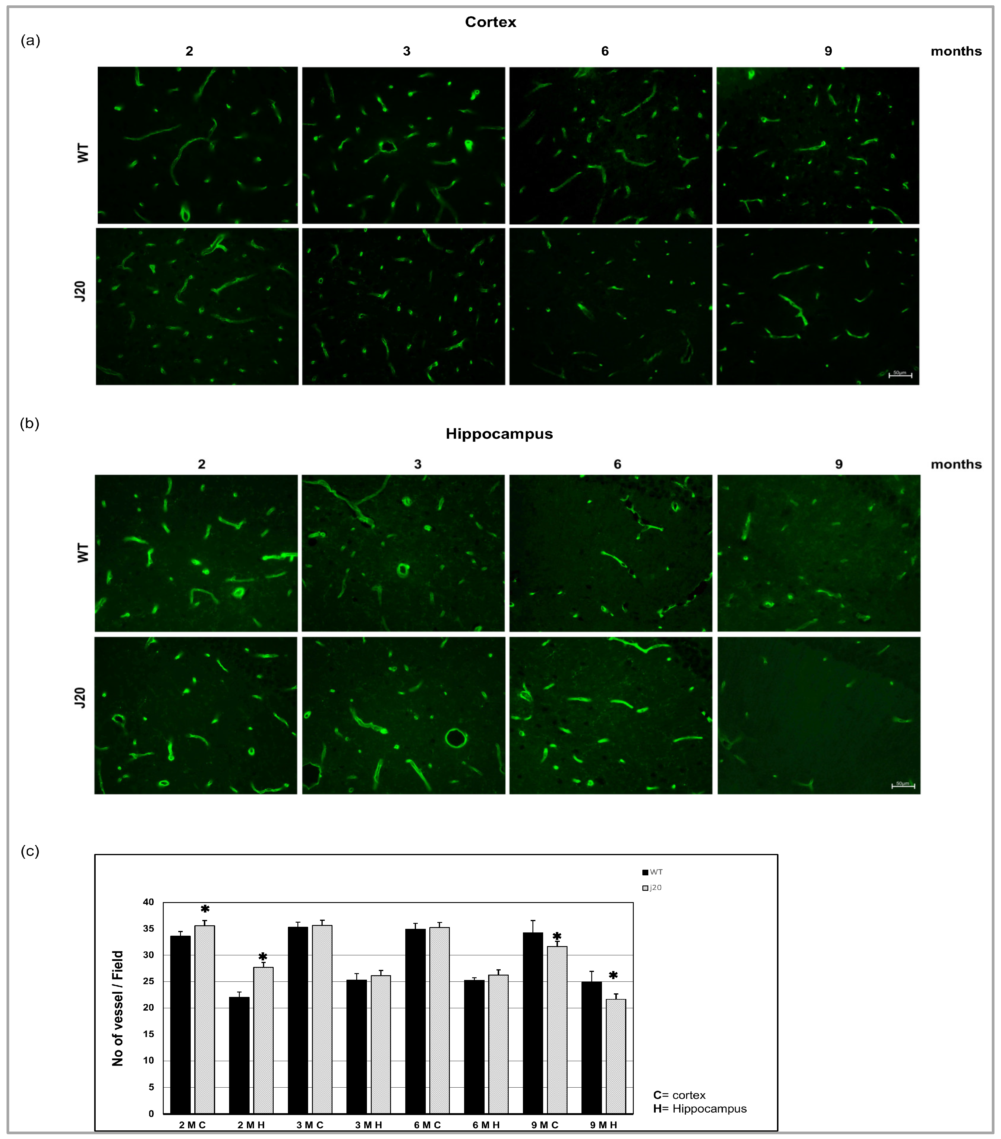 Biomedicines 11 00050 g001