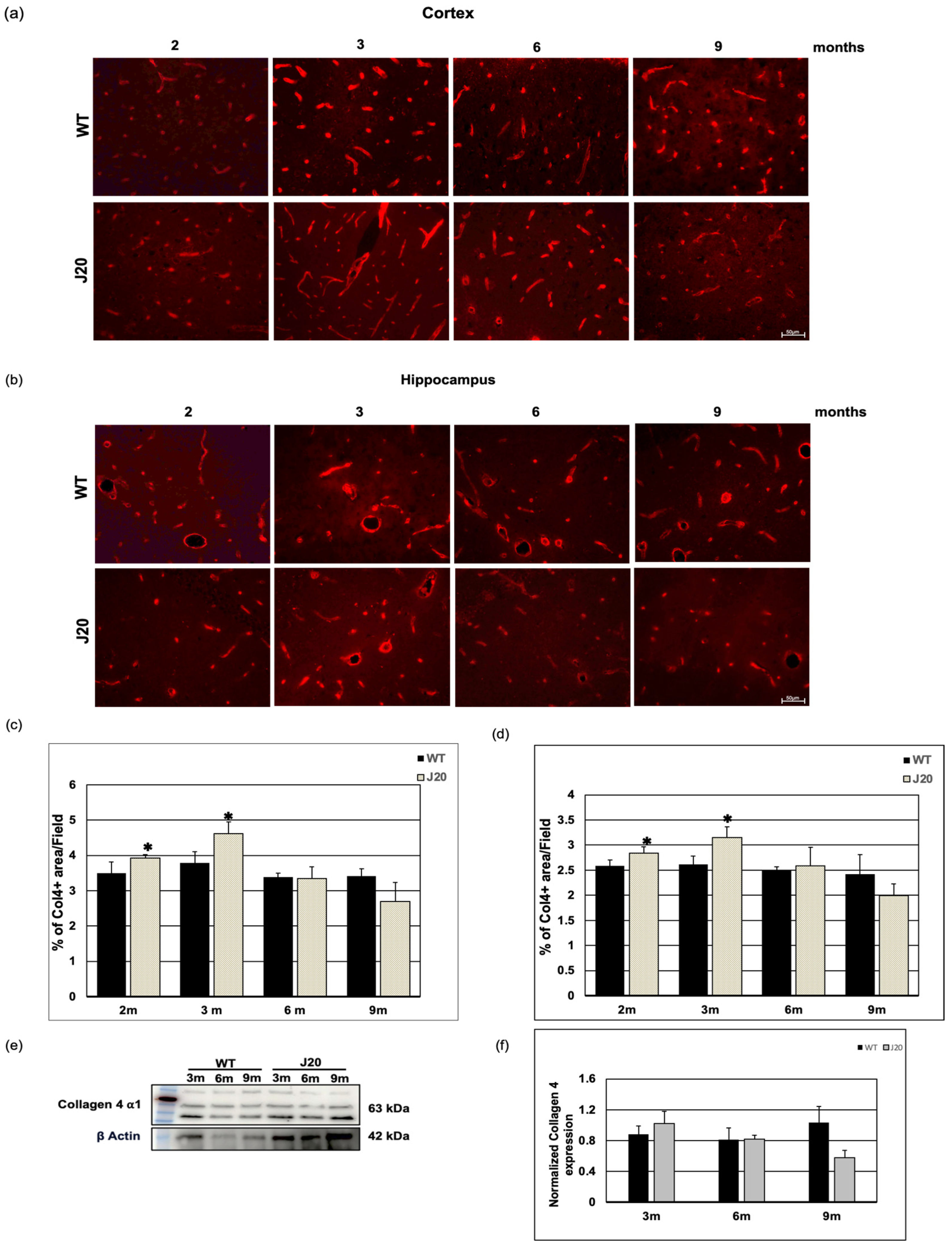 Biomedicines 11 00050 g005