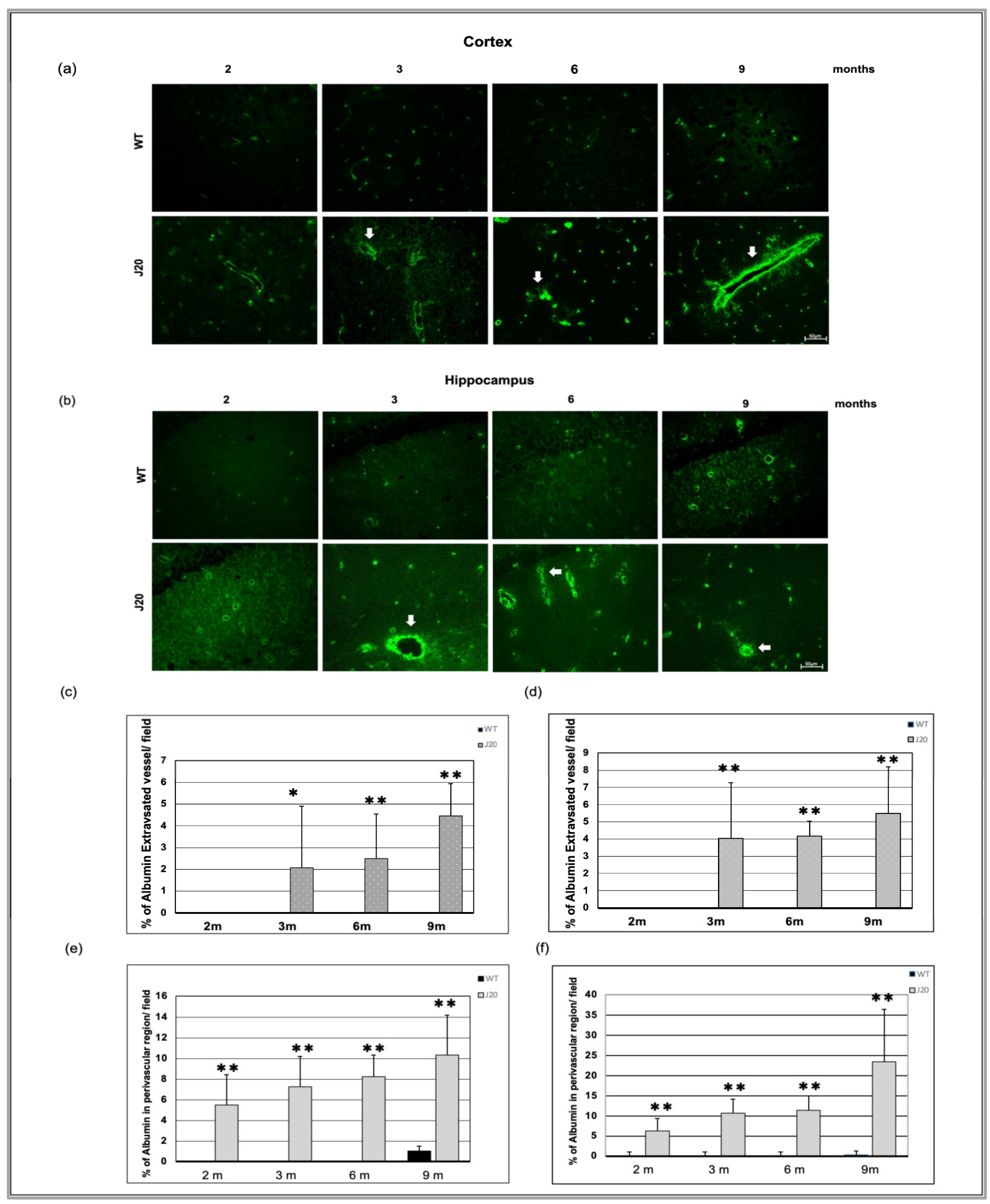 Biomedicines 11 00050 g006