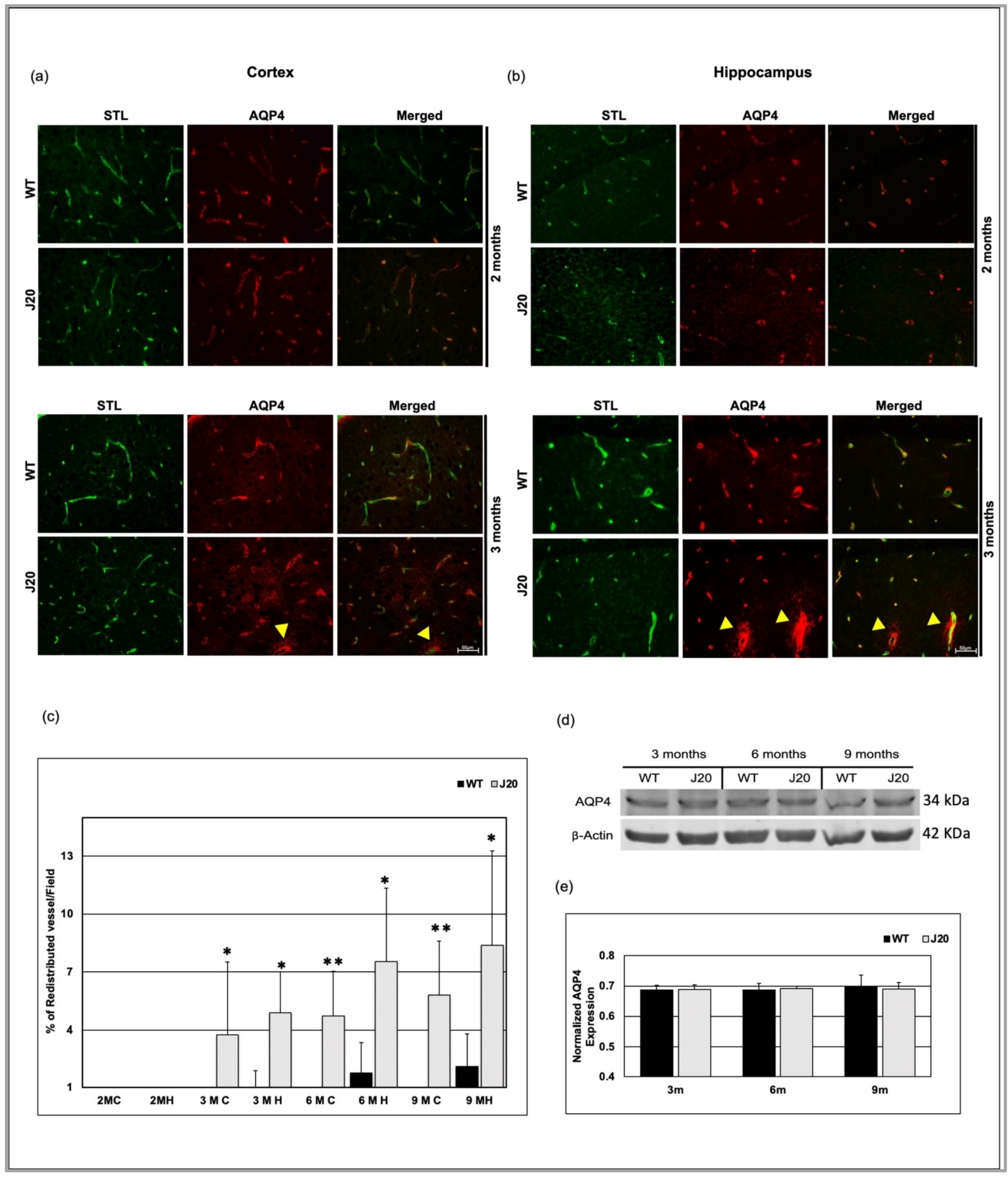 Biomedicines 11 00050 g007