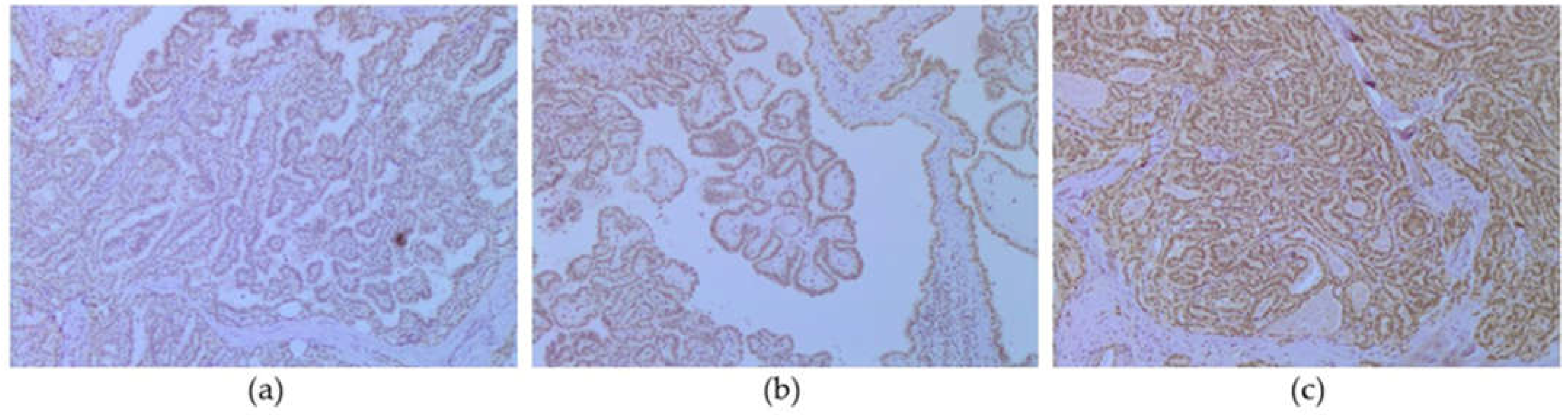 Biomedicines 11 00053 g001 Biomedicines 11 00053 g001