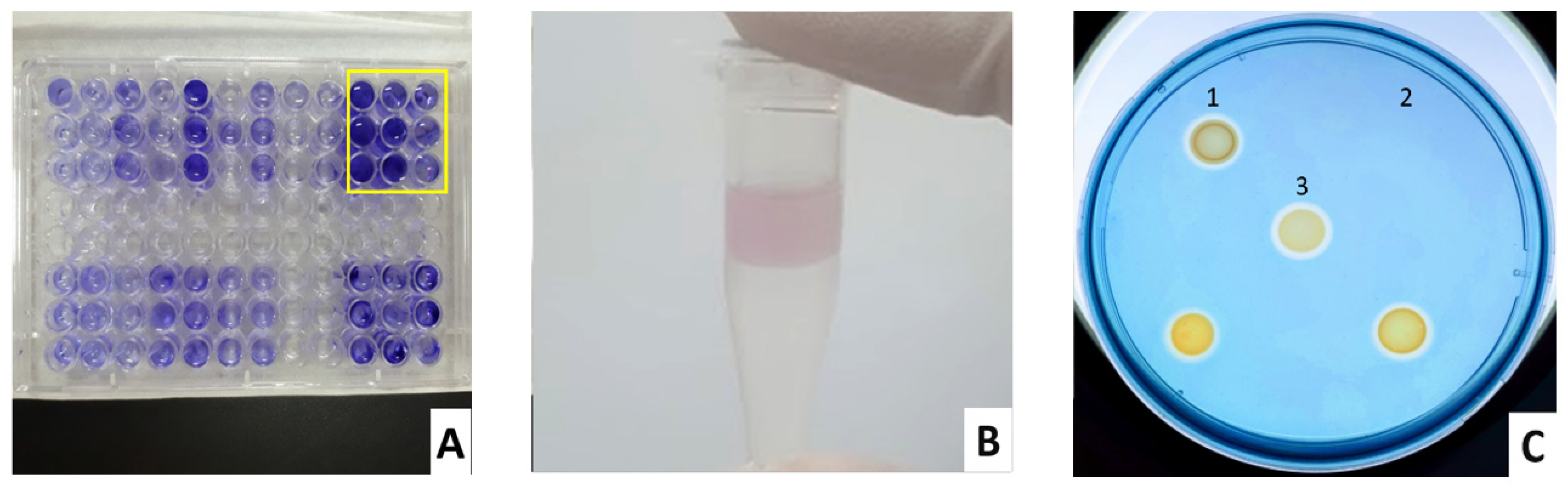 Biomedicines 11 00054 g001