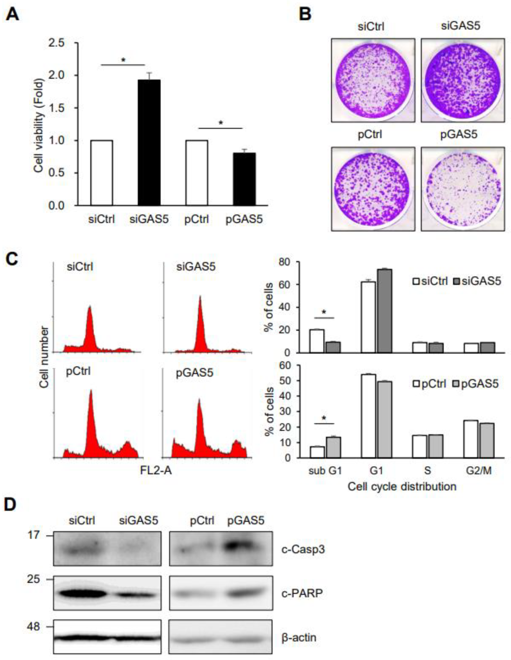 Biomedicines 11 00058 g002 Biomedicines 11 00058 g002