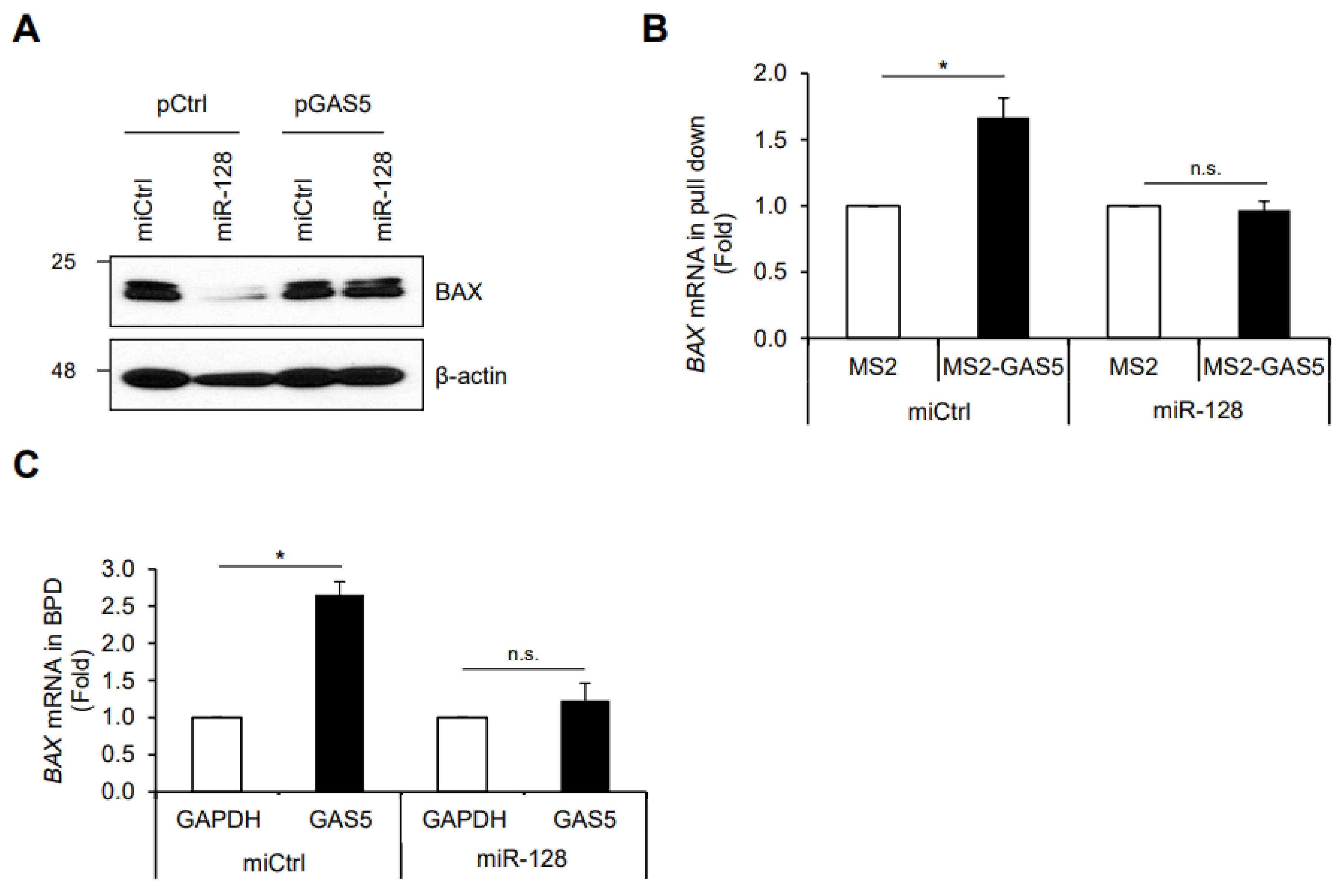 Biomedicines 11 00058 g005 Biomedicines 11 00058 g005