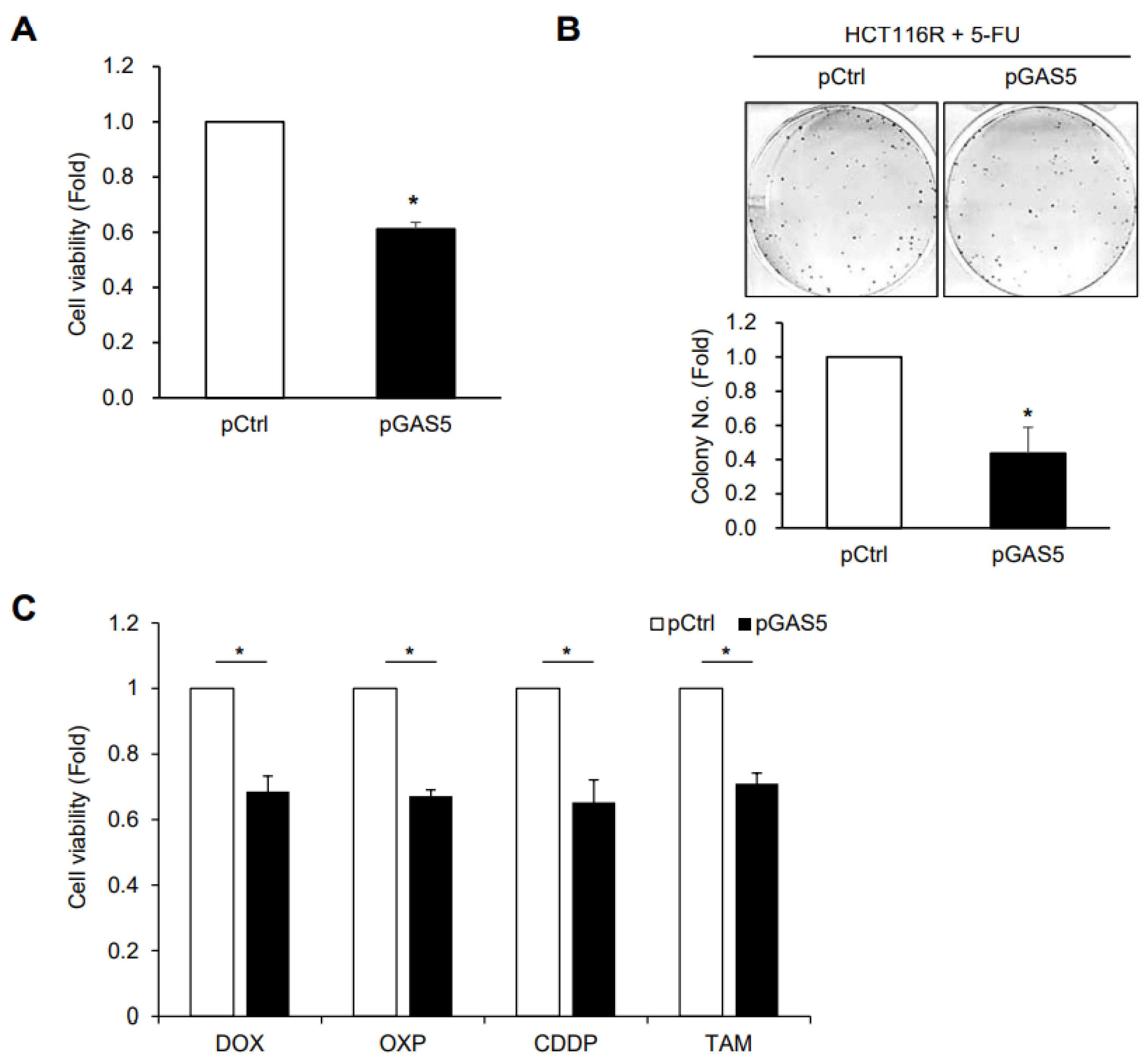 Biomedicines 11 00058 g006 Biomedicines 11 00058 g006
