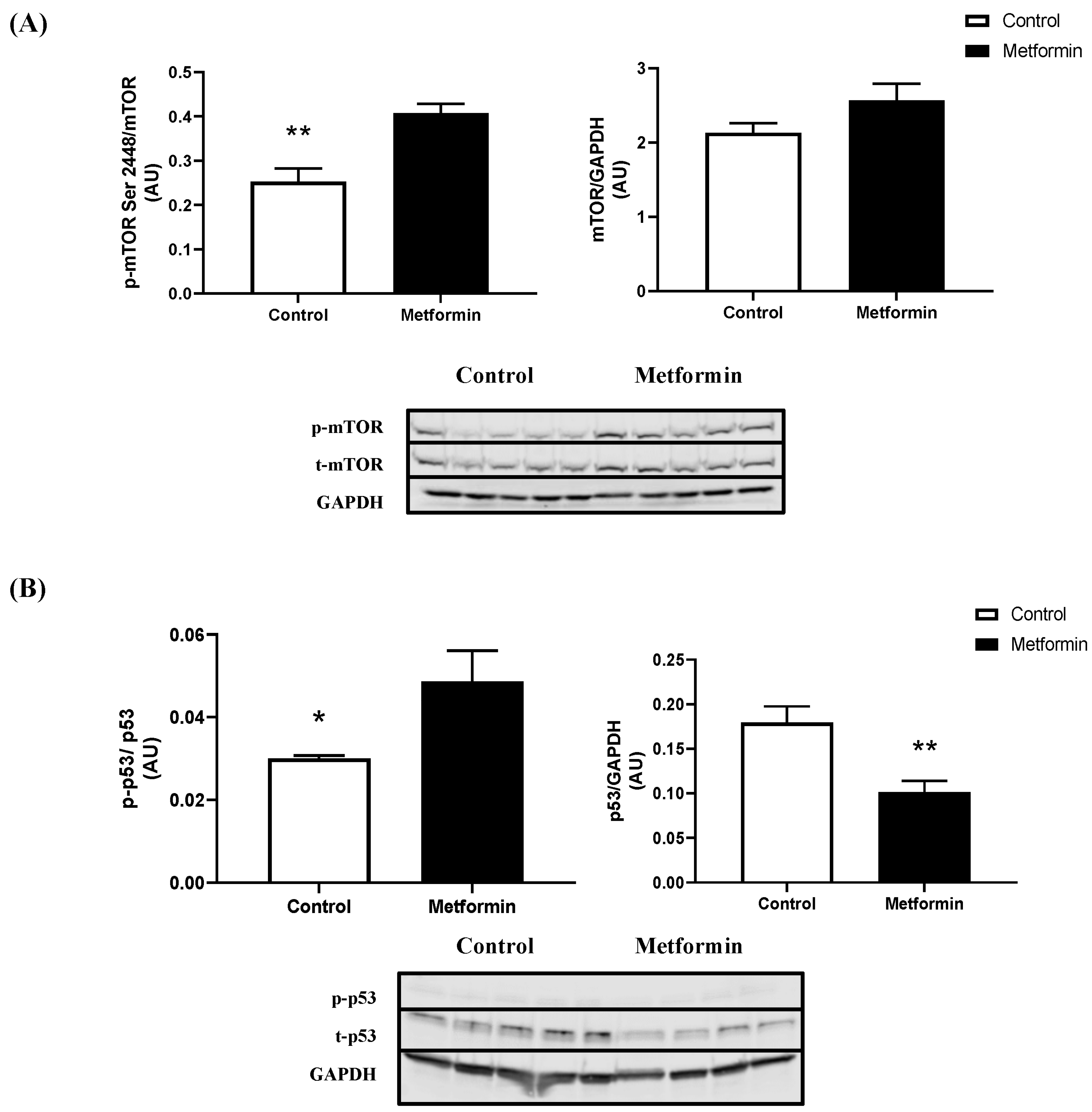 Biomedicines 11 00065 g003 Biomedicines 11 00065 g003